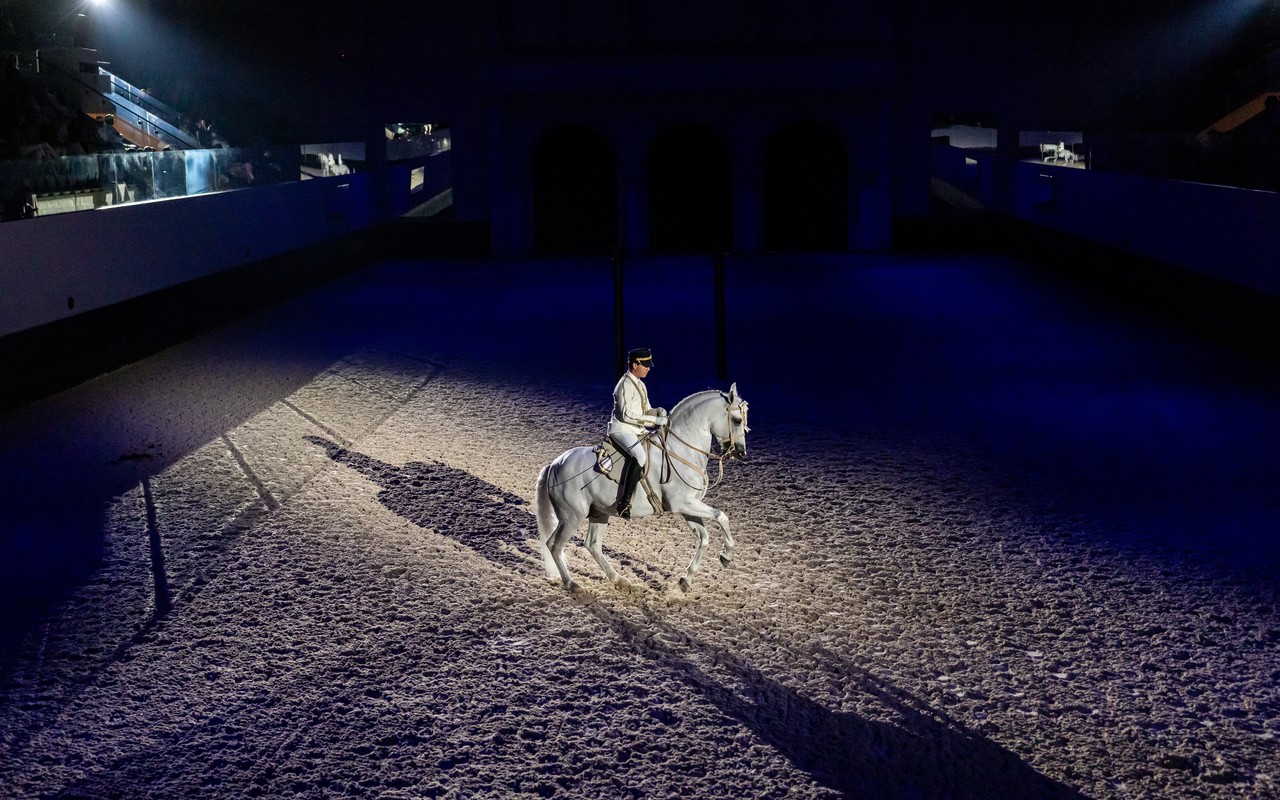 Witnessing a captivating moment of equestrian artistry under the dramatic spotlight