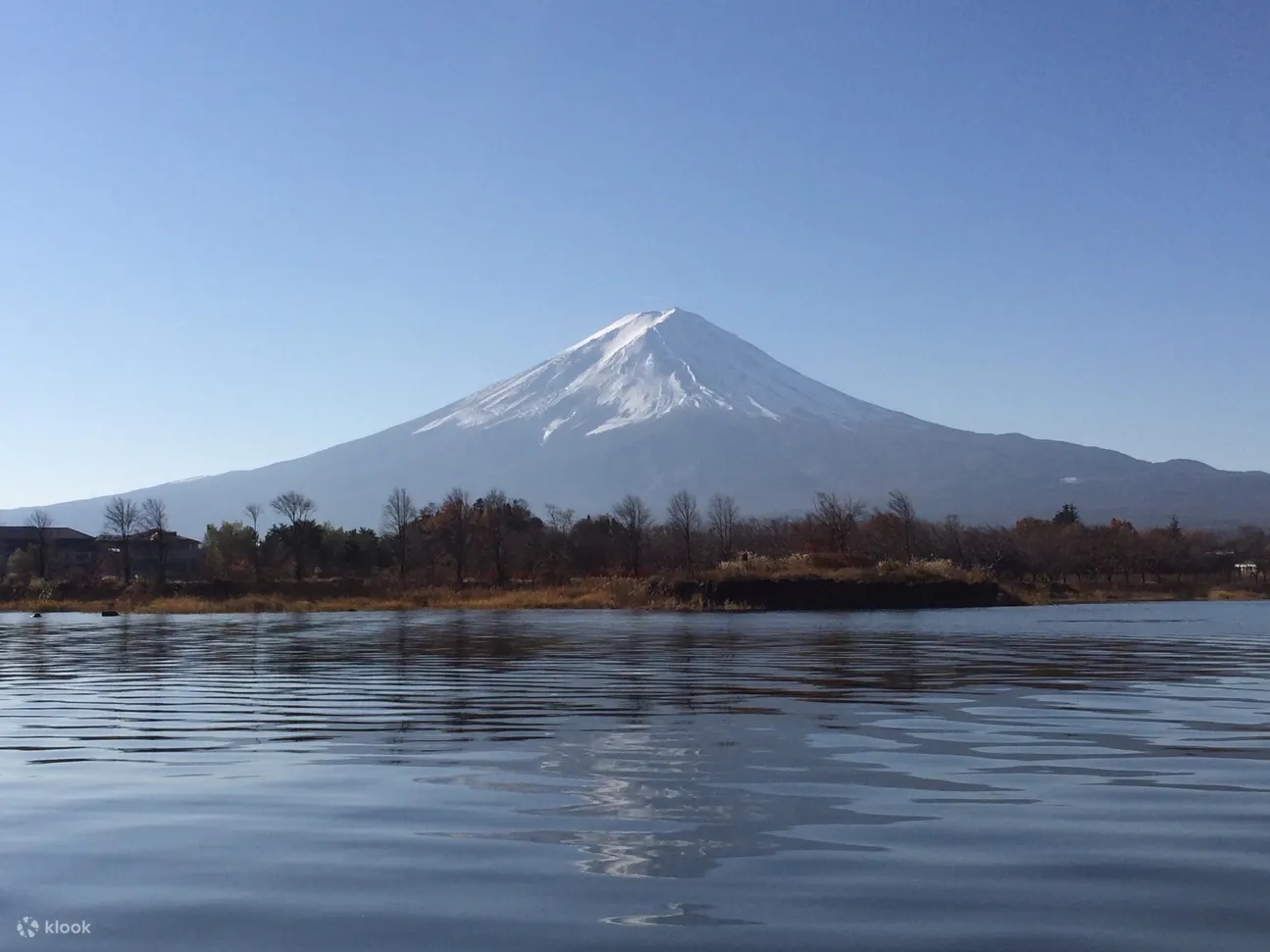 Mount Fuji One Day Tour (Departing from Tokyo)