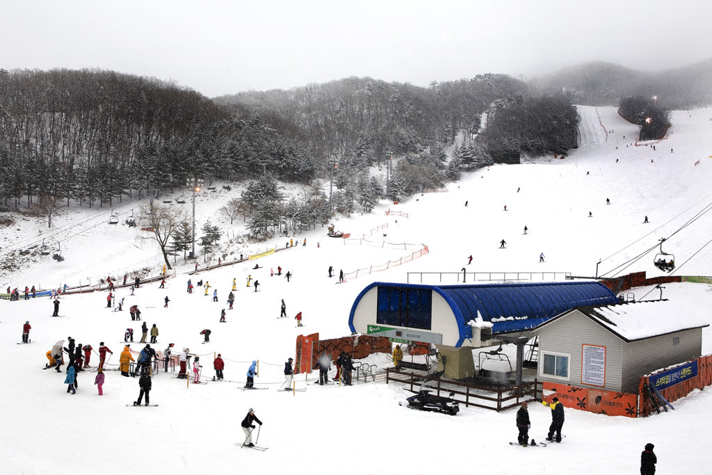 The Company is not responsible for any physical damage or injury caused by accidental or unforeseen factors.