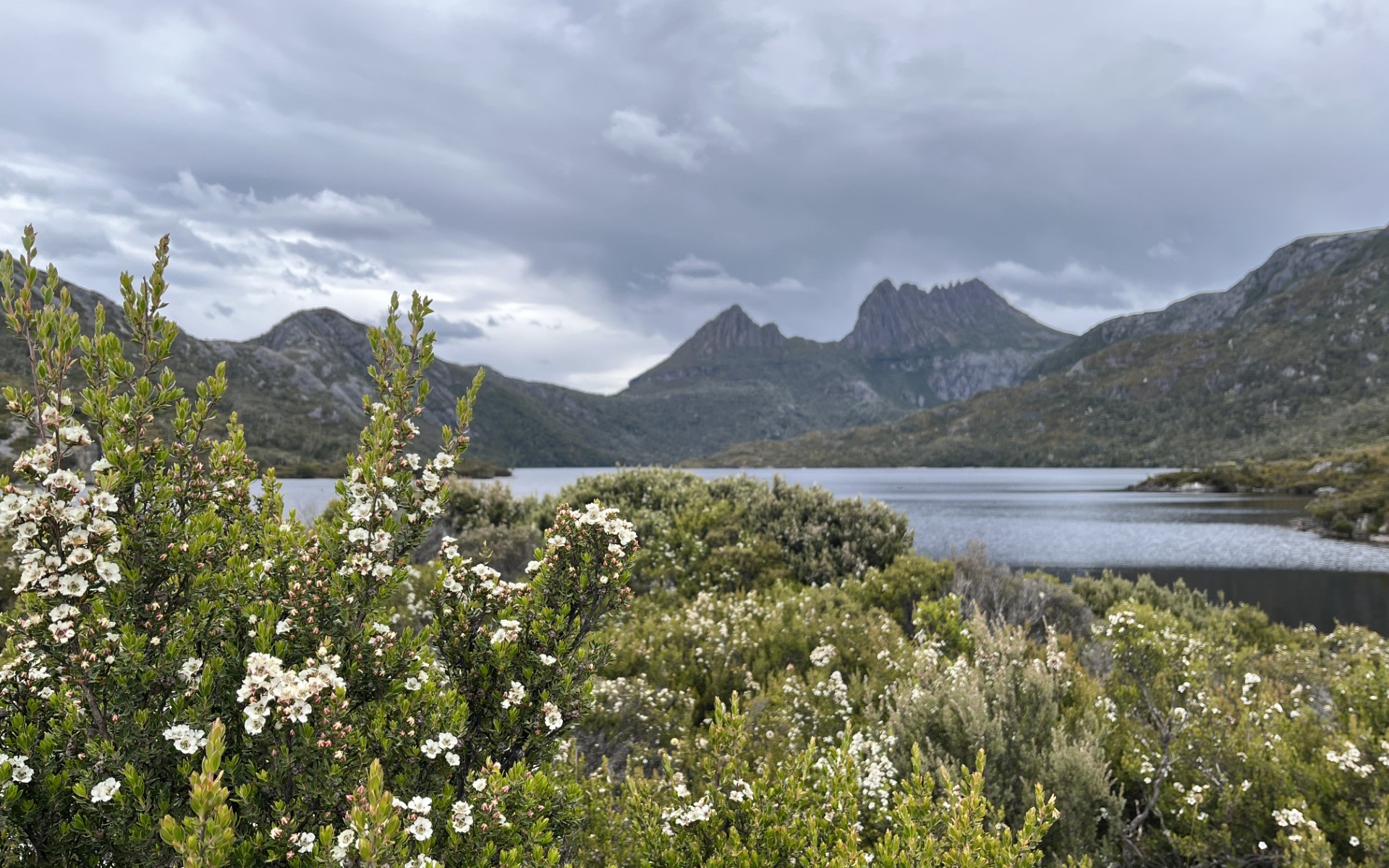 Cradle Mountain Fully Guided Day Tour Departing Launceston