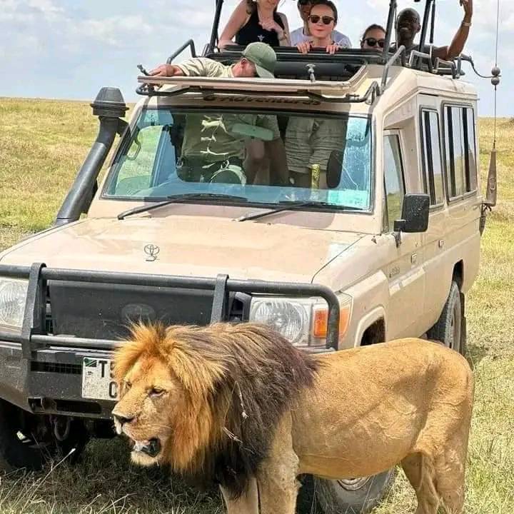 Maasai Mara National Reserve 4-Day Private Safari