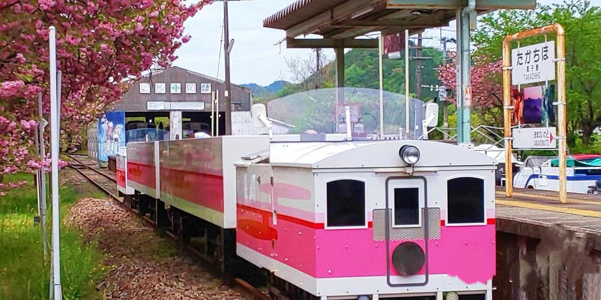 高千穗小火車 沿山間峽谷緩緩行駛，是體驗高千穗自然風光的最佳方式。拍照建議坐在車窗旁，將列車車身與峽谷綠意一併入鏡。