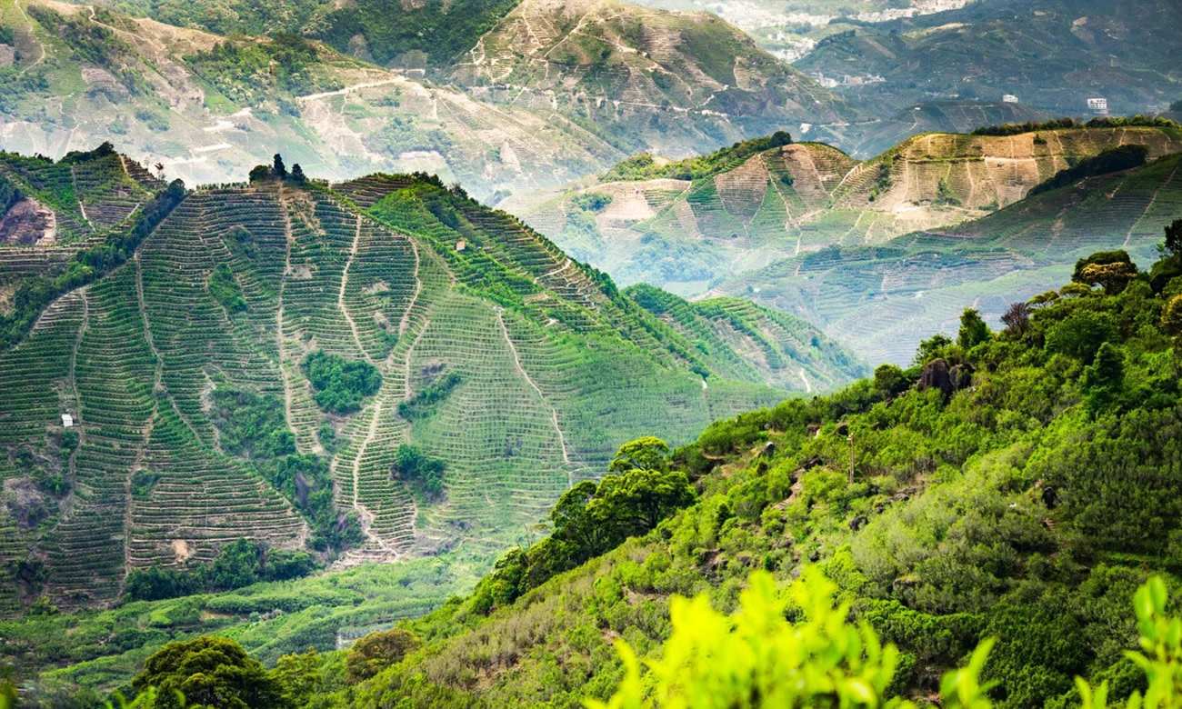 Chaoshan Fengxuang Tianshi Xovuzi Maxsus Avtomobil Bilan Bir Kunlik Sayohat