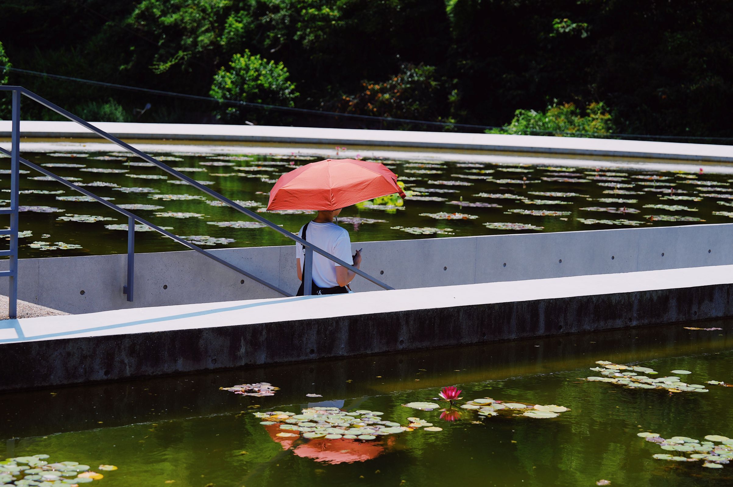 Kansai Minor Hidden Gems Day Trip: Awaji Island/Mount Koya/Kumano Kodo - Choose One, Depart from Osaka Shinsaibashi