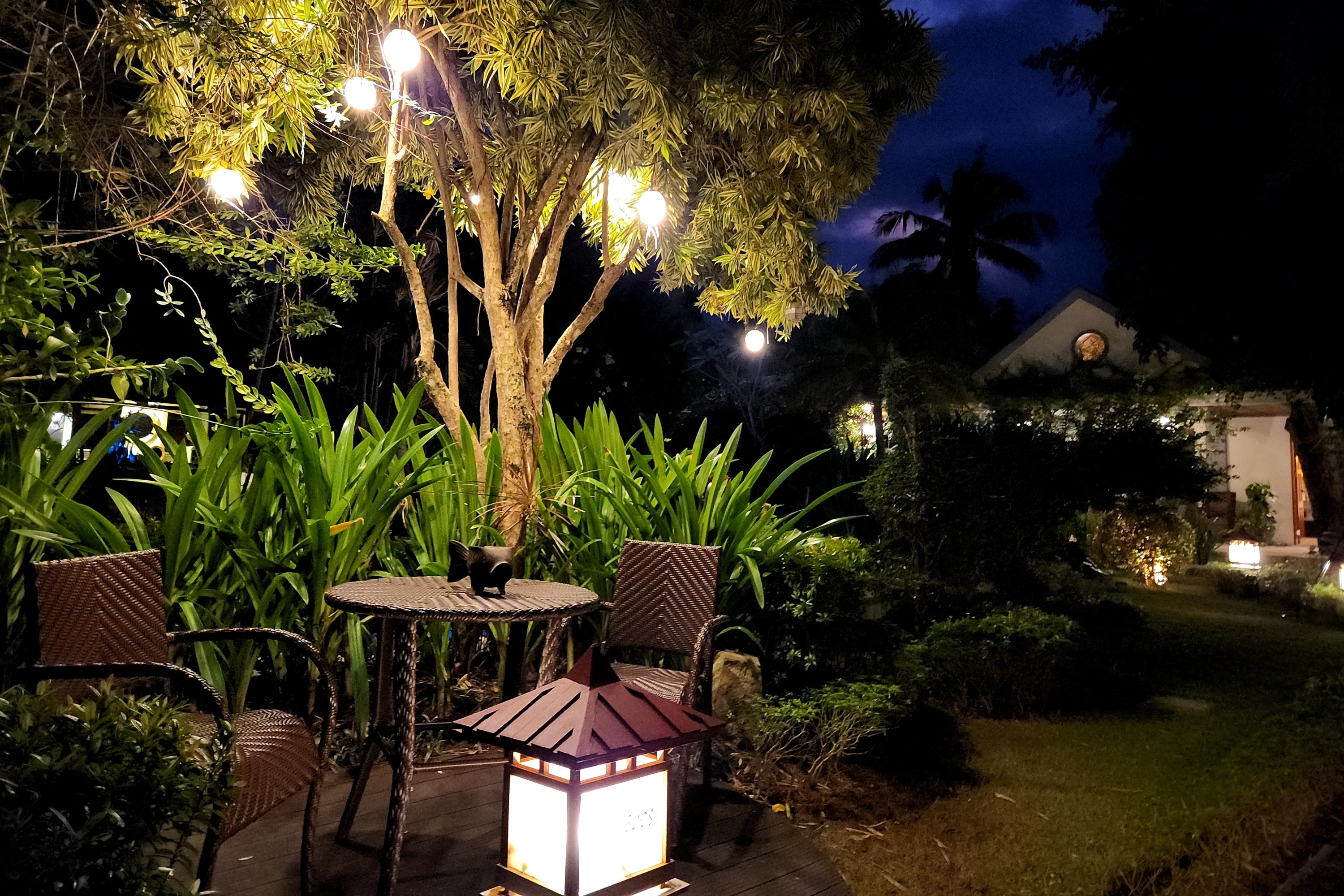 在我們寧靜的花園中放鬆身心,盡情享受清新的戶外空氣 在我們寧靜的花園中放鬆身心,盡情享受清新的戶外空氣