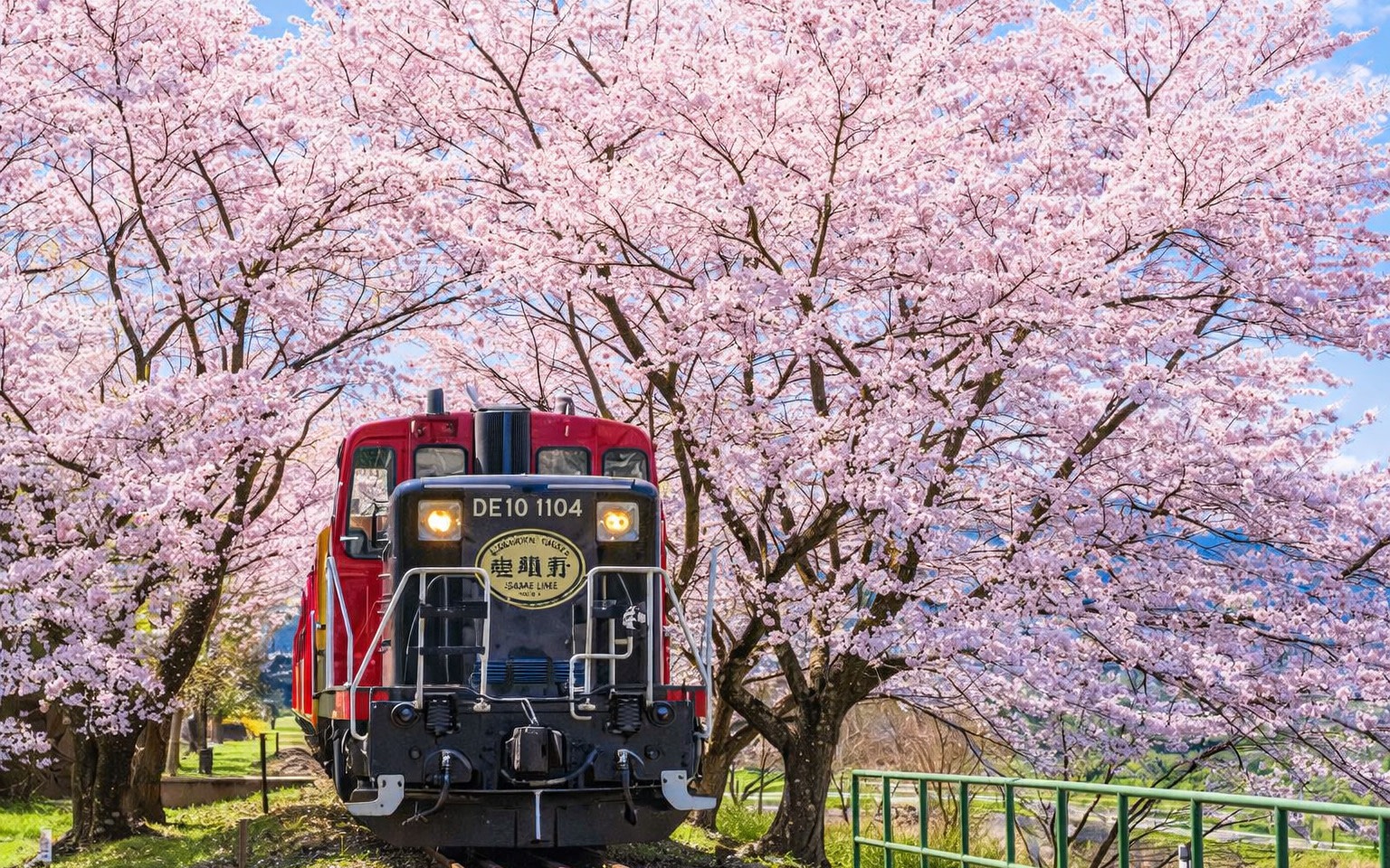 Kyoto Arashiyama Scenic Train & Hozugawa River Boat Ride Day Trip (From Osaka / Kyoto)