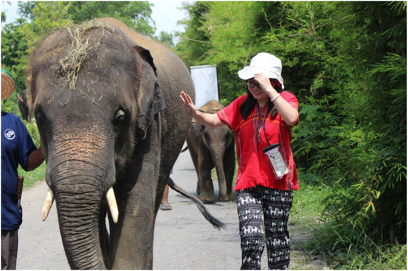 Meet elephants and learn about their daily lives! Enjoy the countryside scenery on the outskirts of Bangkok—relax, feed the elephants, take photos, walk with them, and enjoy seasonal fruits (depending on your booking).