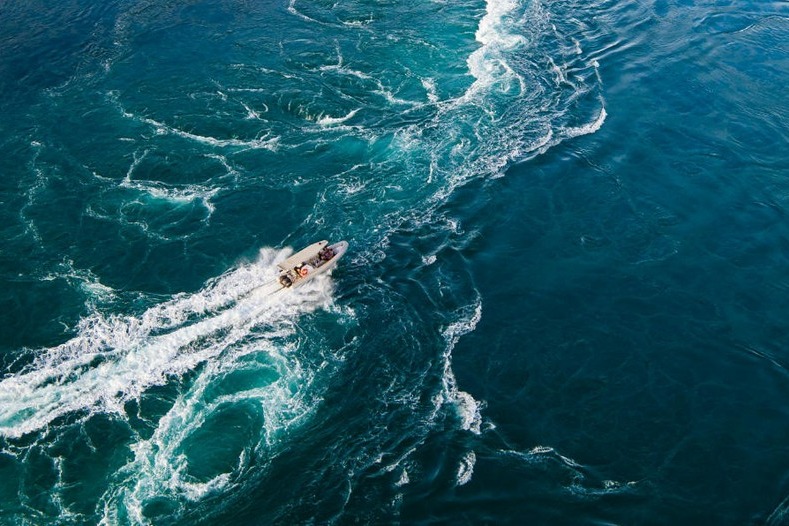 Giant Tides Sea Safari Tour in Cygnet Bay