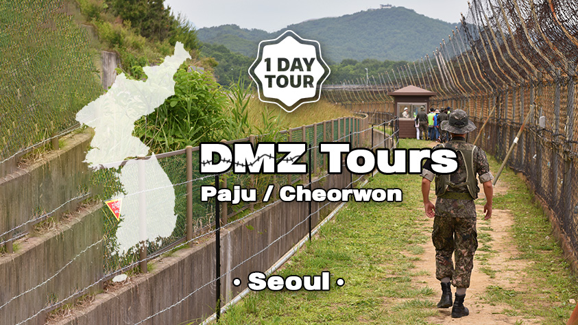 Paju/Cheorwon/Gimpo DMZ Day Tour from Seoul