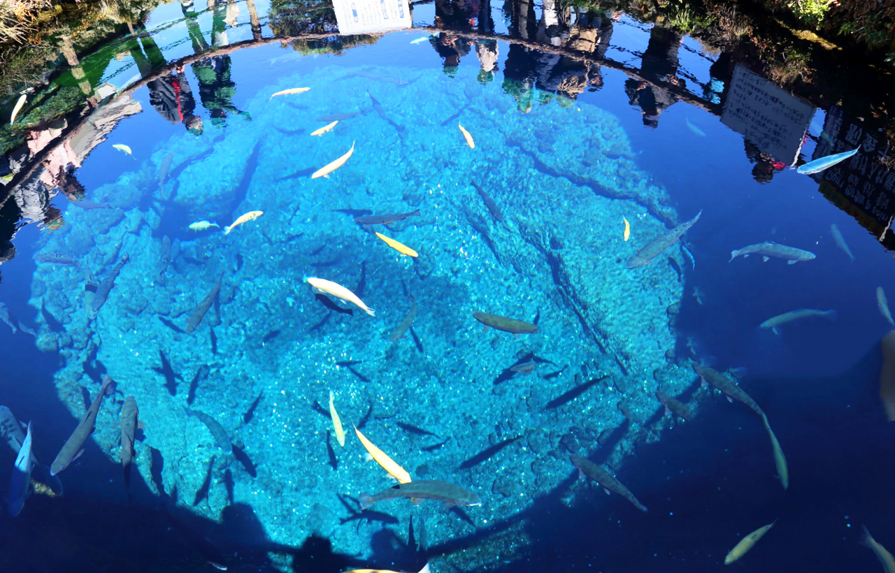 The so-called "Oshino Hakkai" are actually eight clear springs formed by the snow water from Mount Fuji flowing through the strata and filtering.