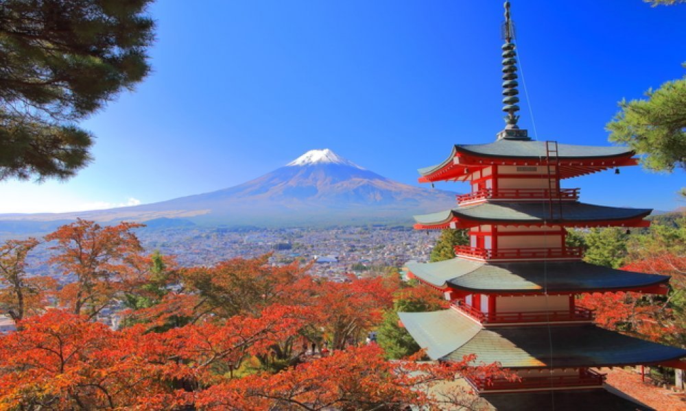 Mt Fuji & Five-Story Pagoda & Honcho Street & Oishi Park Day Tour 