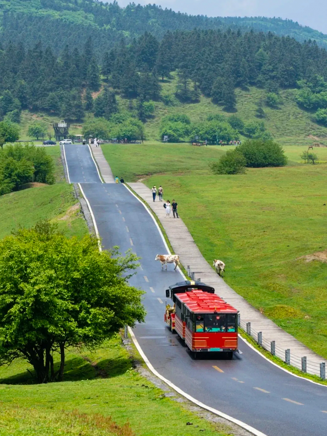仙女山國家森林公園