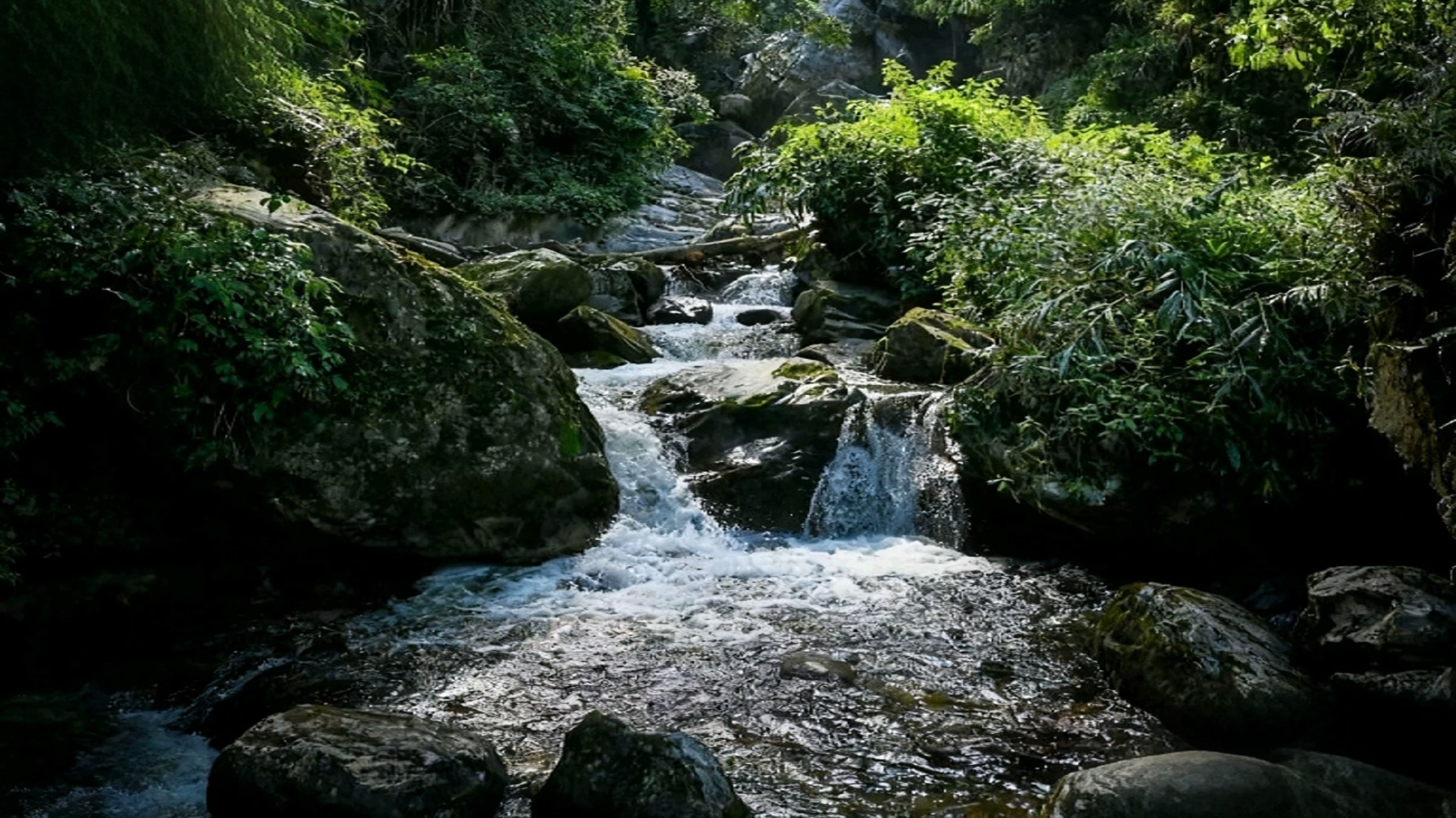 湍急的溪流在嶙峋的岩石間奔騰,激起陣陣白浪。兩岸植被繁茂,綠意將山石層層包裹,陽光偶爾穿透枝葉,在水面上投下斑駁的光影。這處溪流如大自然的琴鍵 湍急的溪流在嶙峋的岩石間奔騰,激起陣陣白浪。兩岸植被繁茂,綠意將山石層層包裹,陽光偶爾穿透枝葉,在水面上投下斑駁的光影。這處溪流如大自然的琴鍵