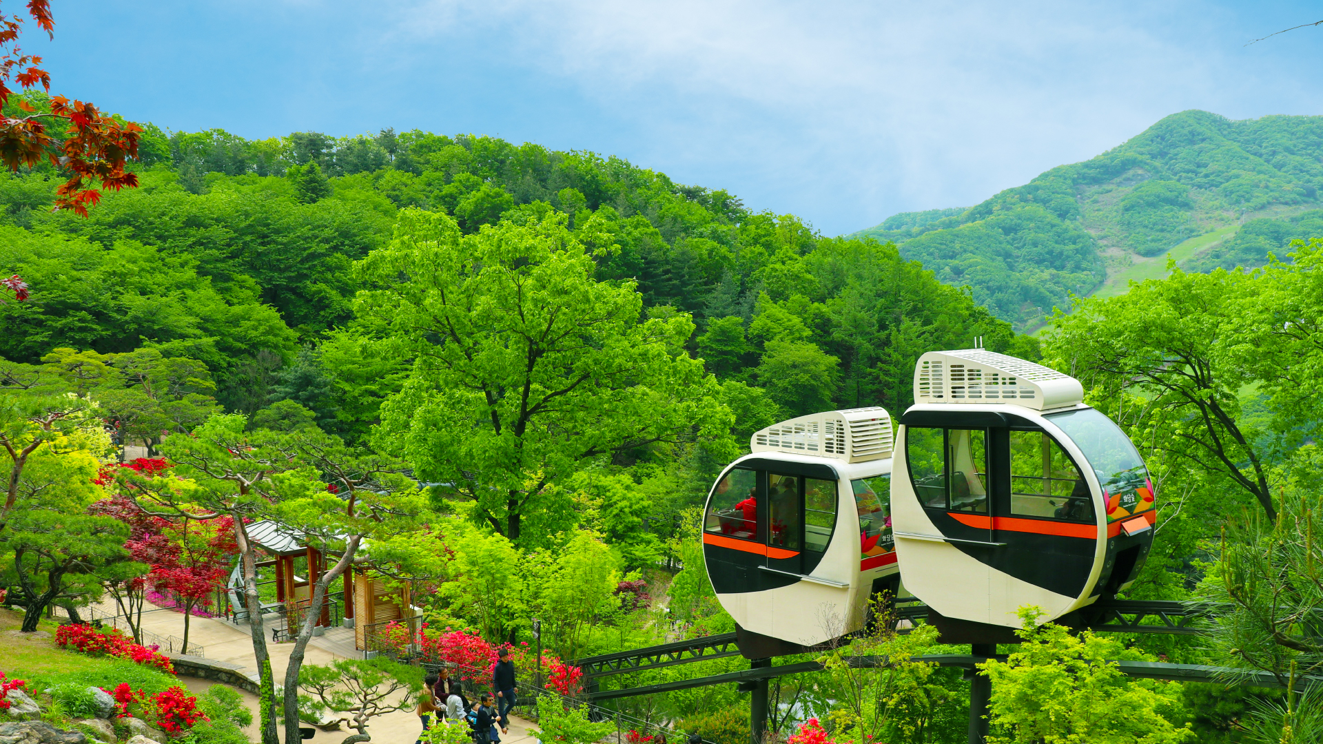 和談樹木園（Hwadamsup）、韓國民俗村、華城、濟扶島海上纜車
