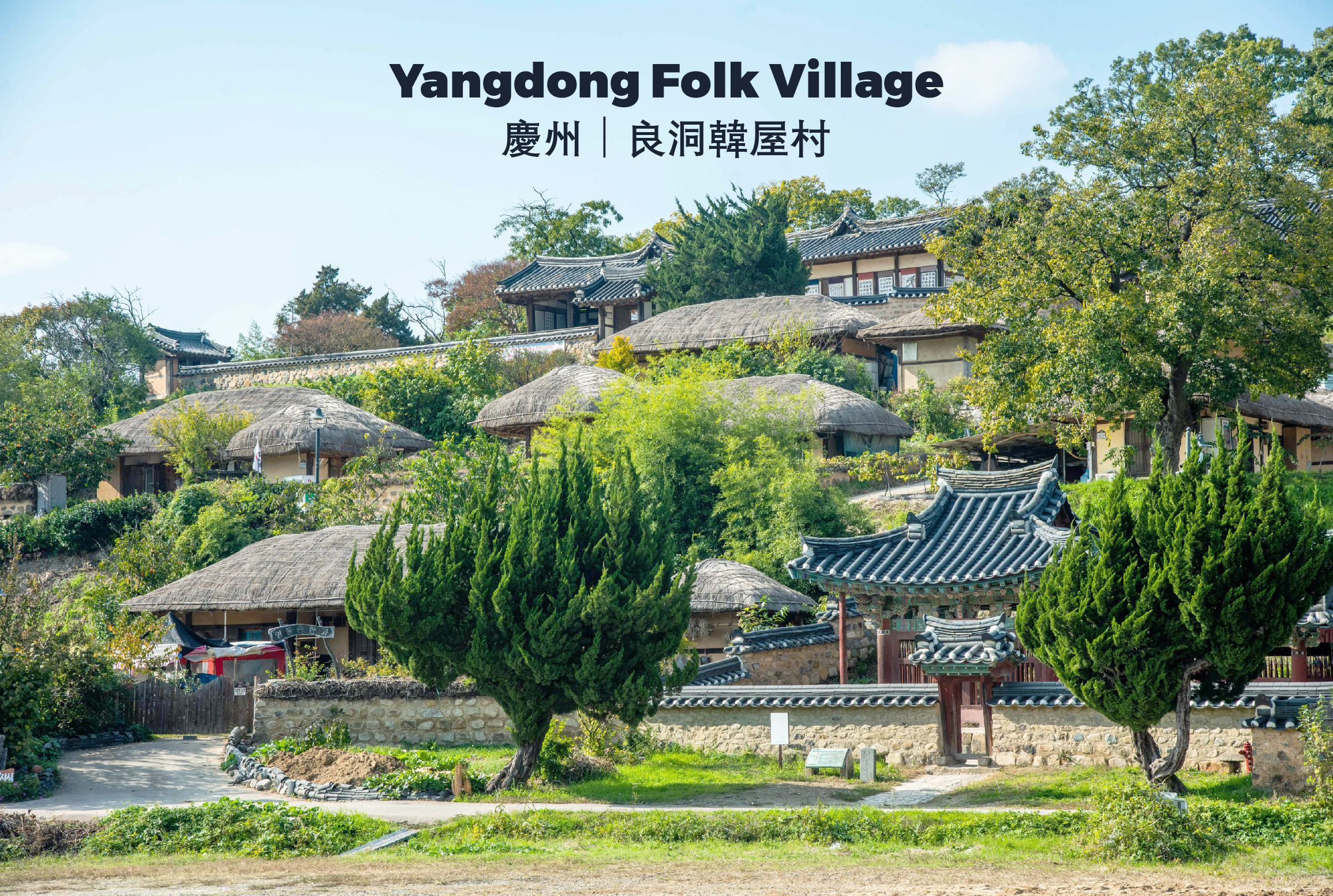 釜山 & 慶州一日遊（釜山出發）
