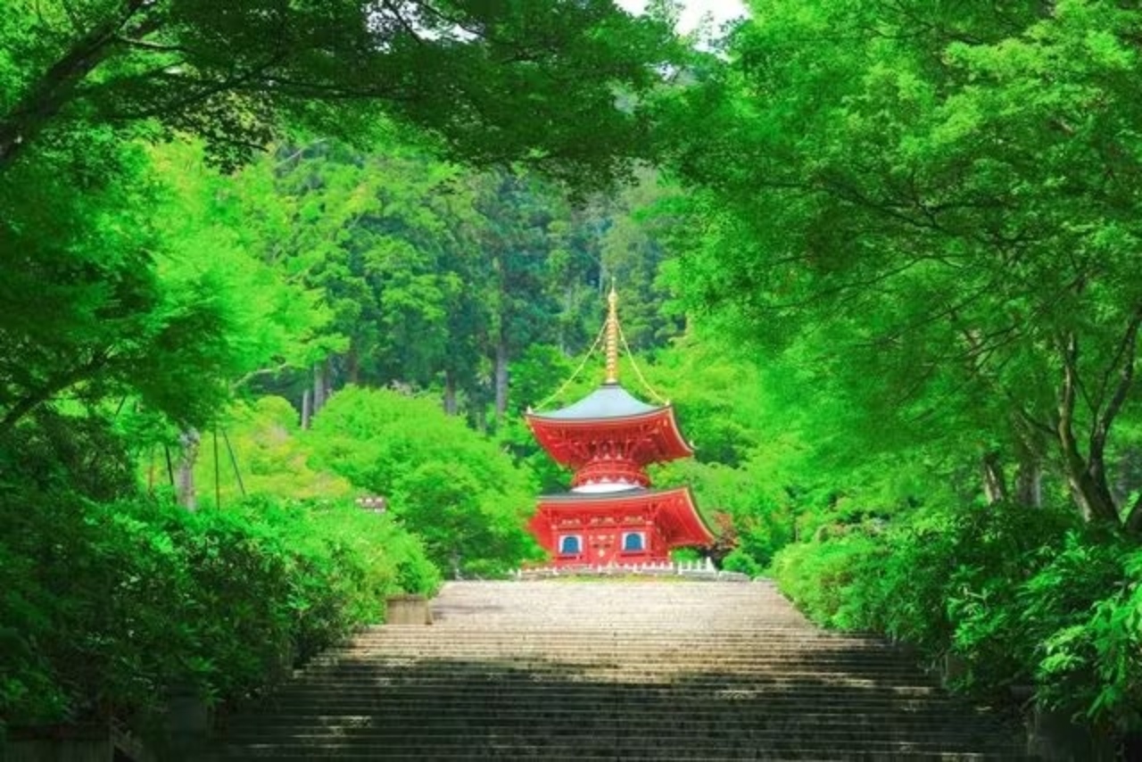 大阪：勝尾寺
