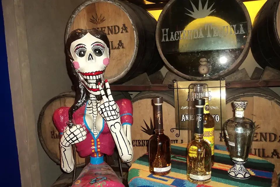 A Taste of Los Cabos Tour 