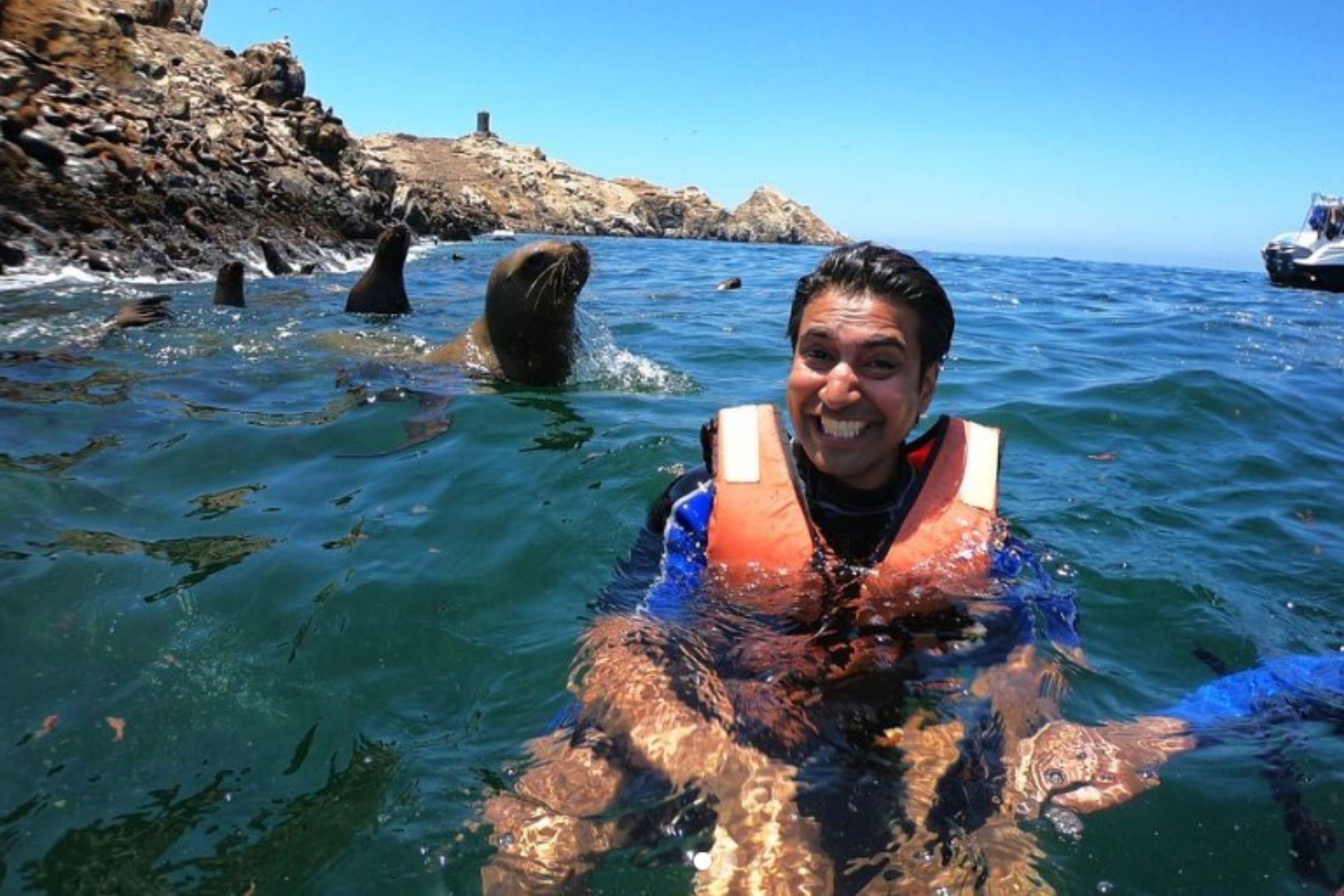 Callao Palomino Islands Half-Day Big Group Boat Tour