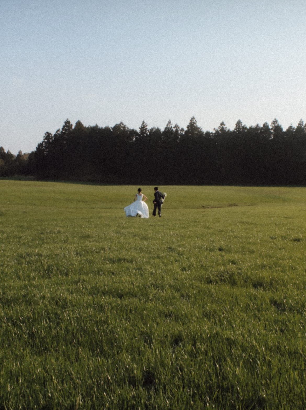 Woollfilm Jeju Pre-Wedding Photoshoot Experience