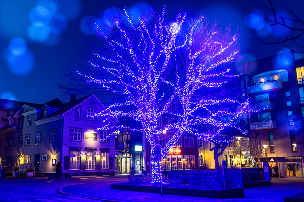 Reykjavik Christmas Walking Tour