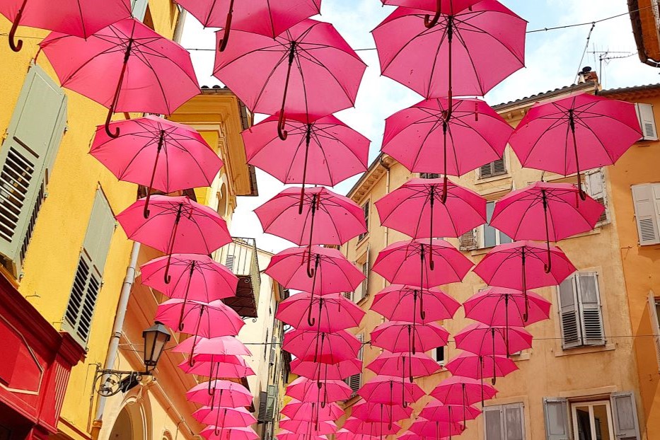 Provence and its Medieval Villages Full-Day Tour from Nice