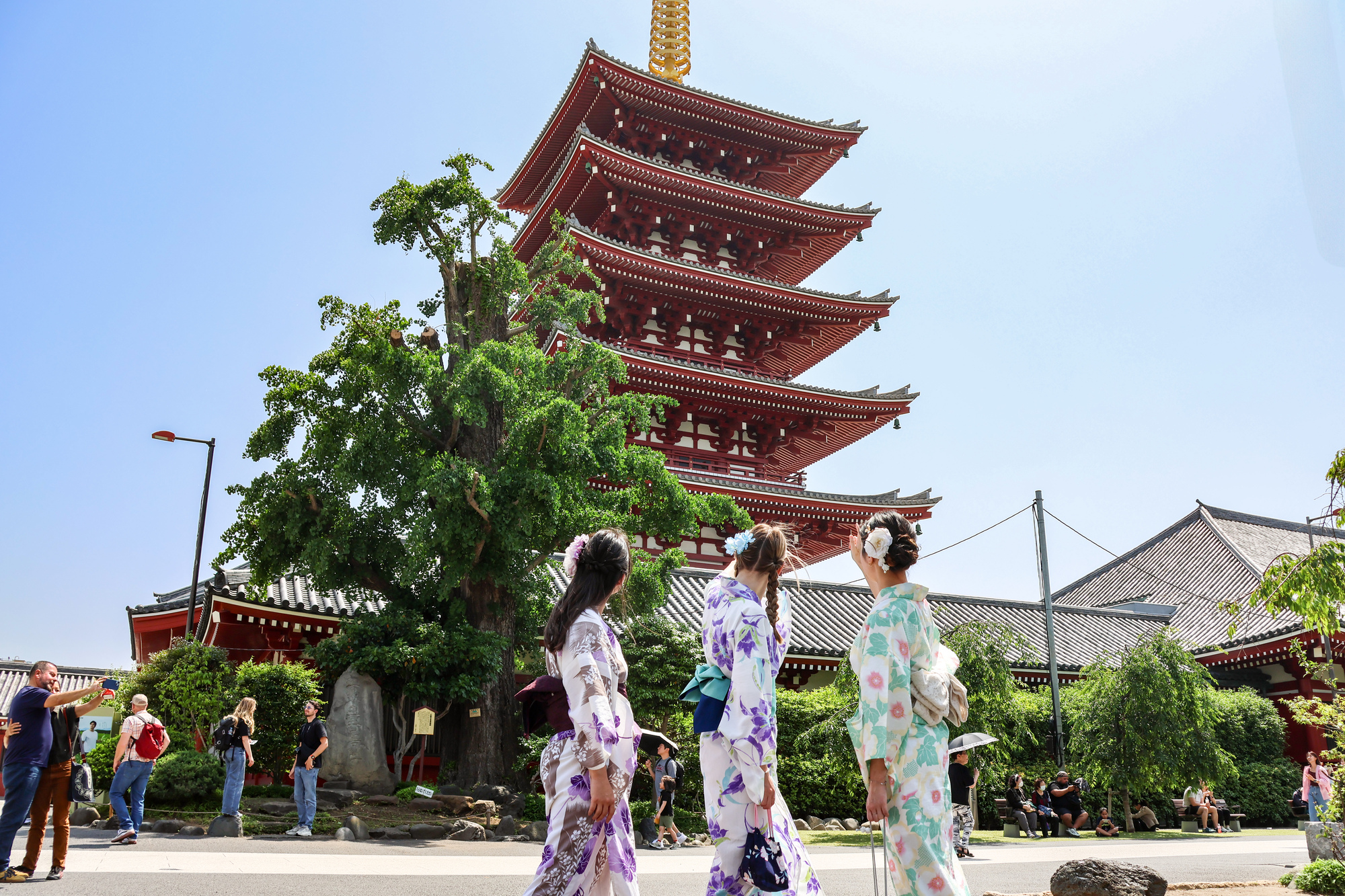 Explore Asakusa Traditions and Food in a Kimono