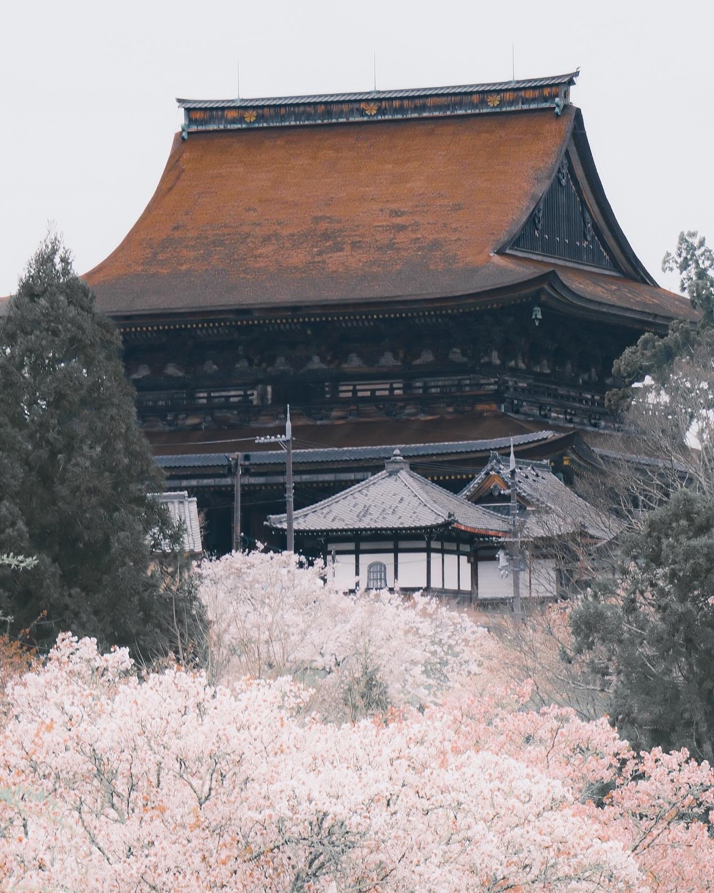 金峰寺－日本第二大木造建築