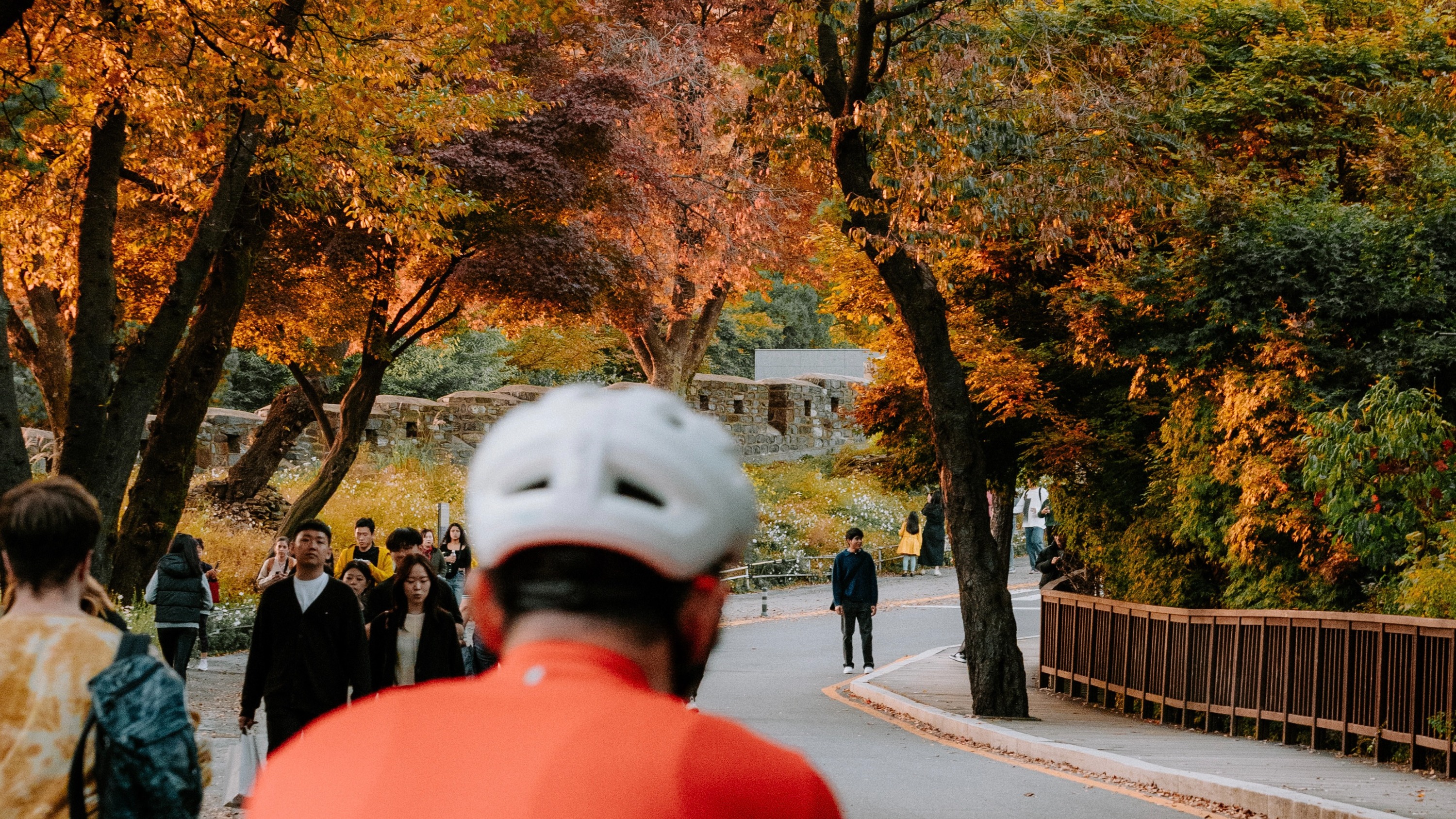 Han River Urban Nature Bike Tour in Seoul