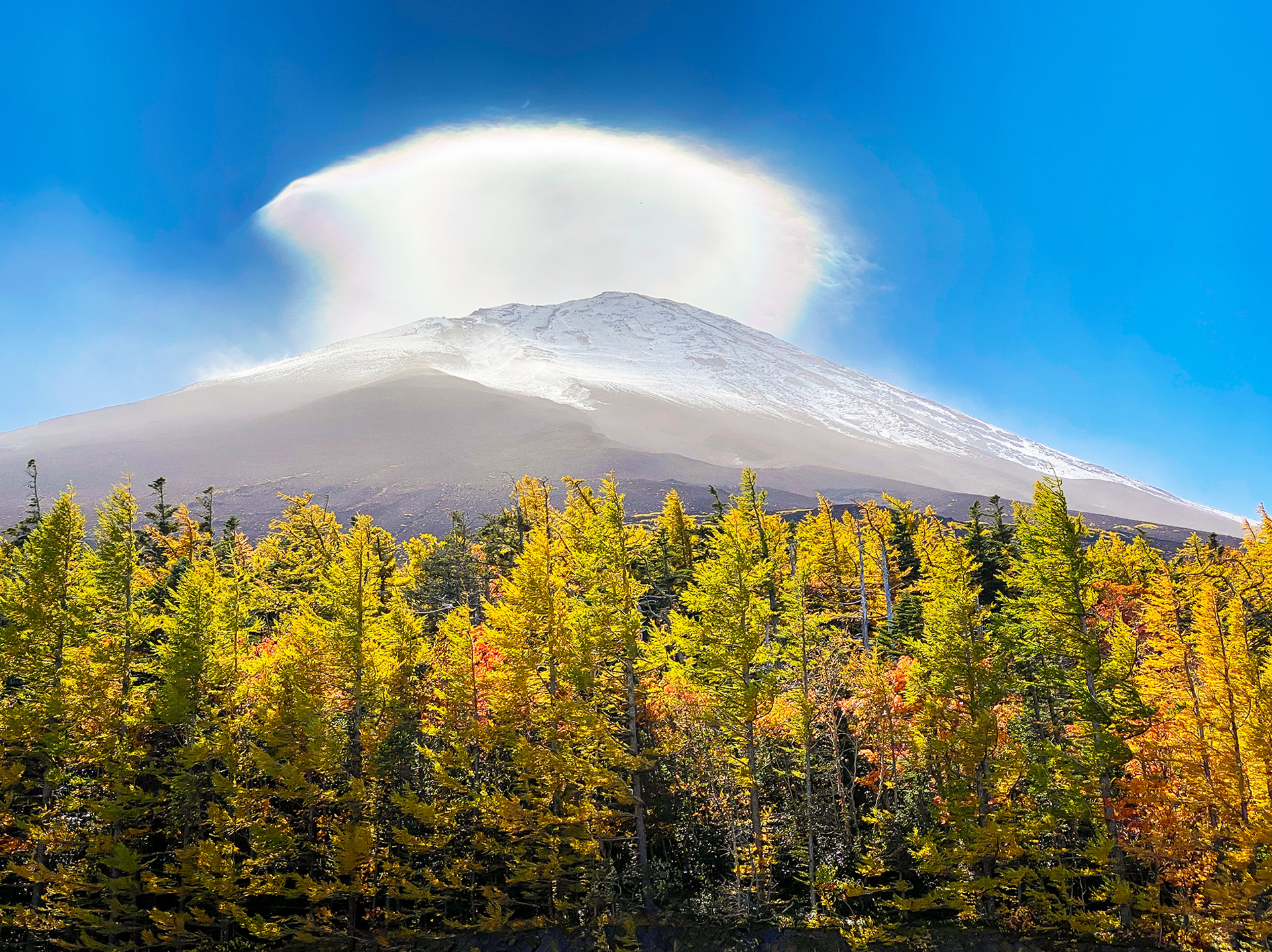 富士山五合+新倉山淺間公園+忍野八海+御殿場奧萊