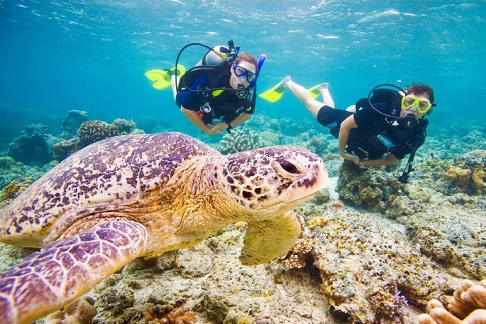 赫爾格達：潛水入門 & 浮潛之旅含午餐