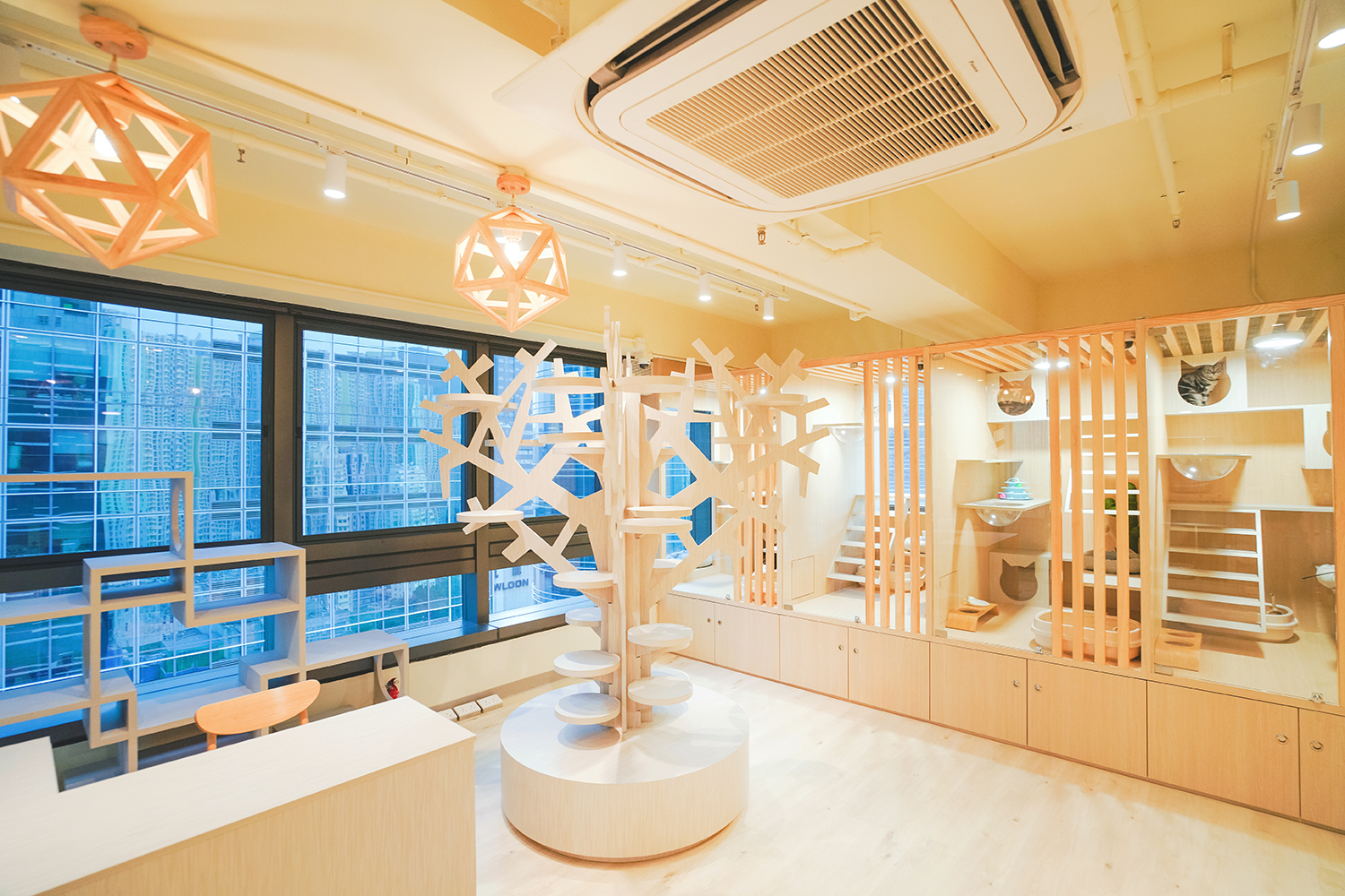 Cat Season Hotel - Cat Accommodation Services | Kwun Tong