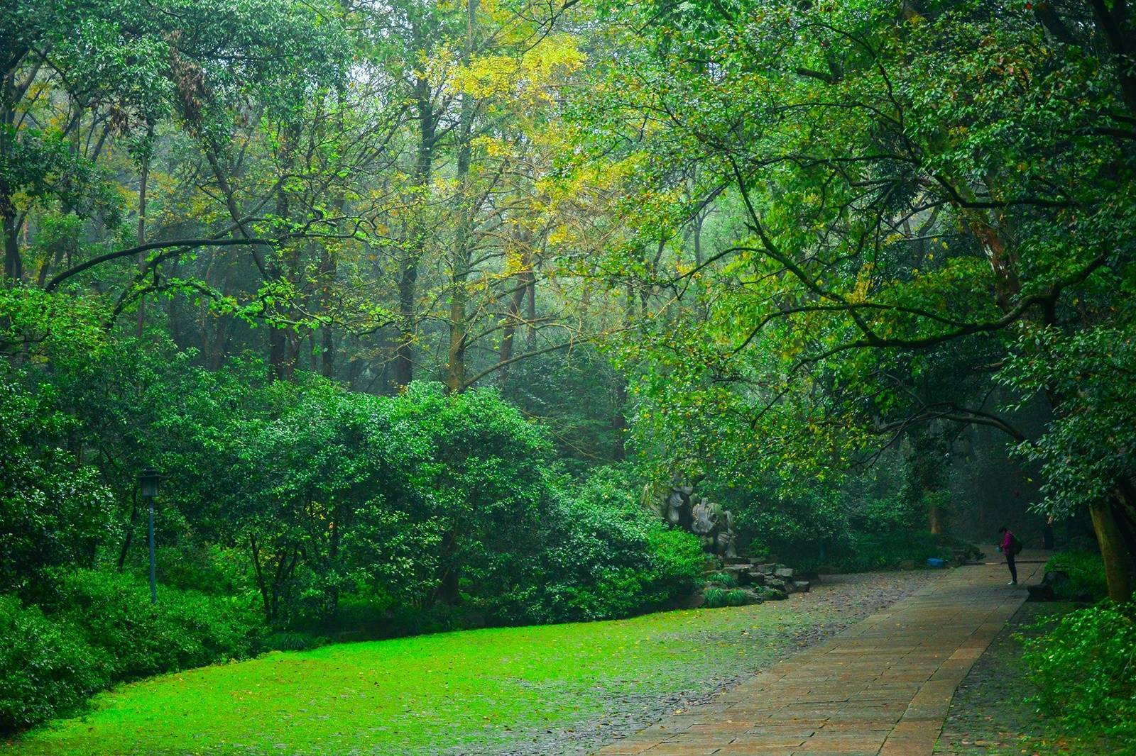 雲棲竹徑:作為西湖新十景之一,這裡以綿延千年的茂密竹海為核心景觀。蜿蜒的青石板路穿過幽深竹林,沿途古木參天、溪泉輕響,形成一道天然清涼屏障,是夏日避暑靜心的絕佳去處。 雲棲竹徑:作為西湖新十景之一,這裡以綿延千年的茂密竹海為核心景觀。蜿蜒的青石板路穿過幽深竹林,沿途古木參天、溪泉輕響,形成一道天然清涼屏障,是夏日避暑靜心的絕佳去處。