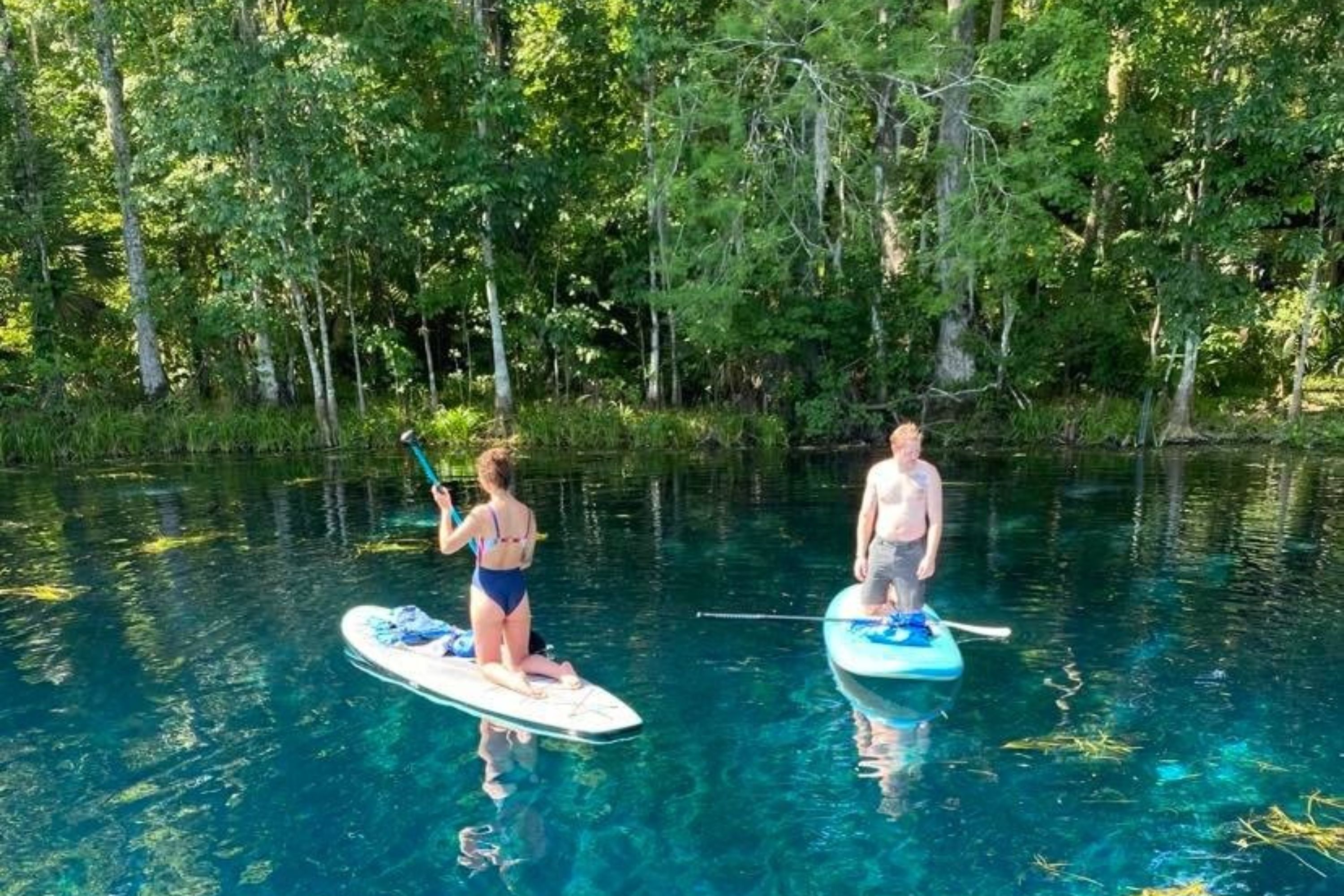 Capture the beauty of the untouched landscape surrounding Silver Springs