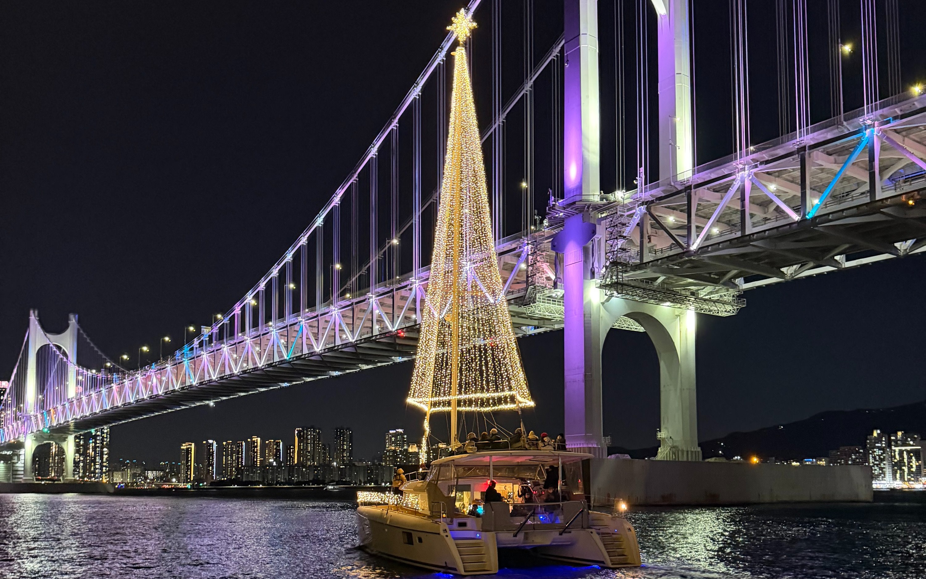 'Y Holic' Yacht Experience in Busan