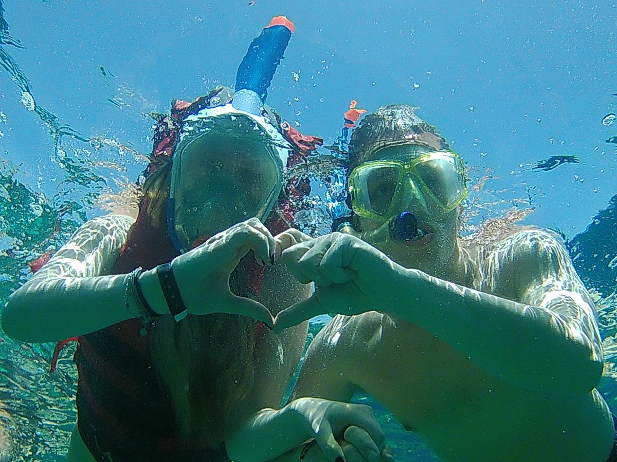 賞海豚浮潛之旅