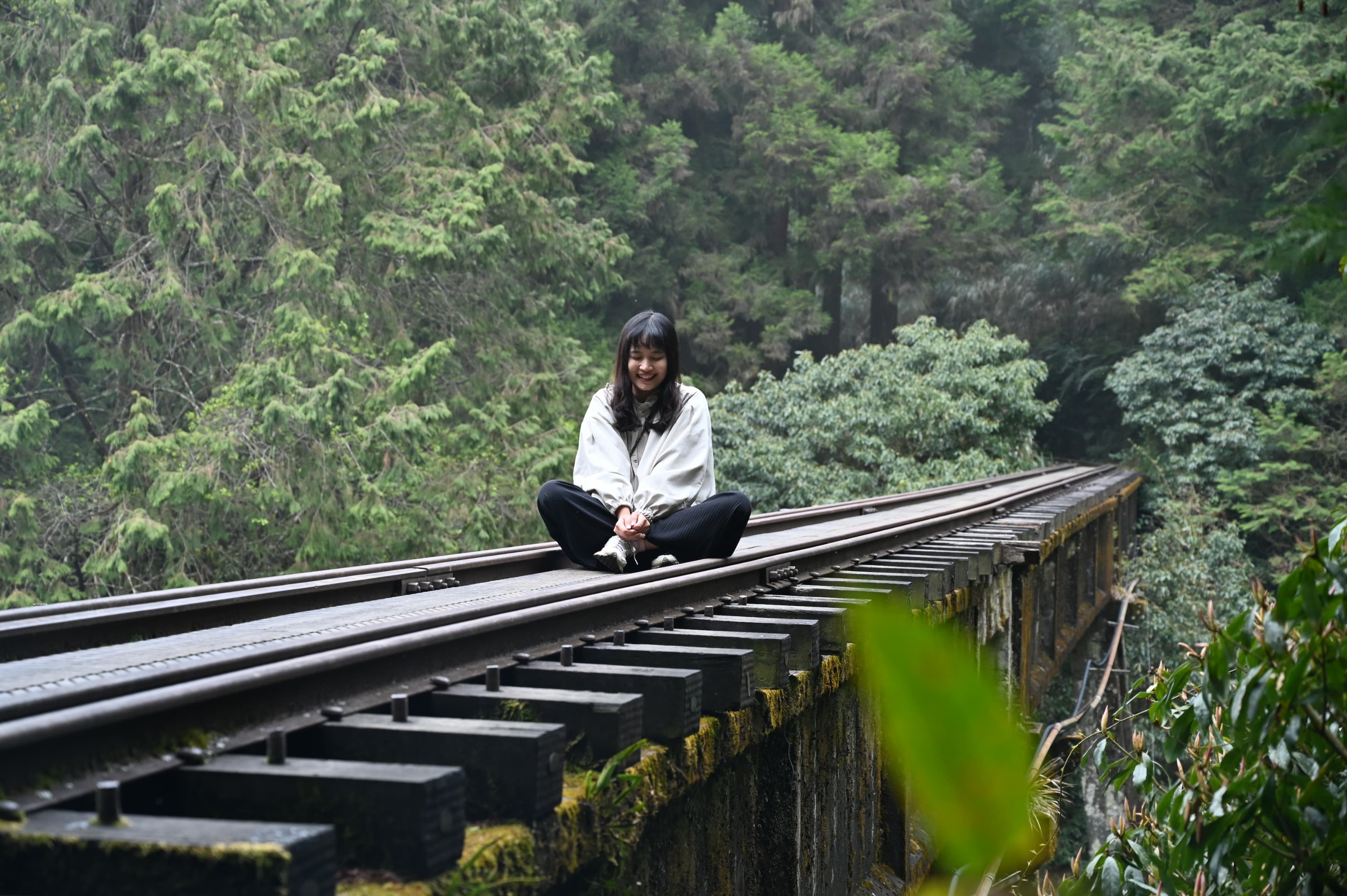 Alishan Mianyue Line Hiking Day Tour in Chiayi