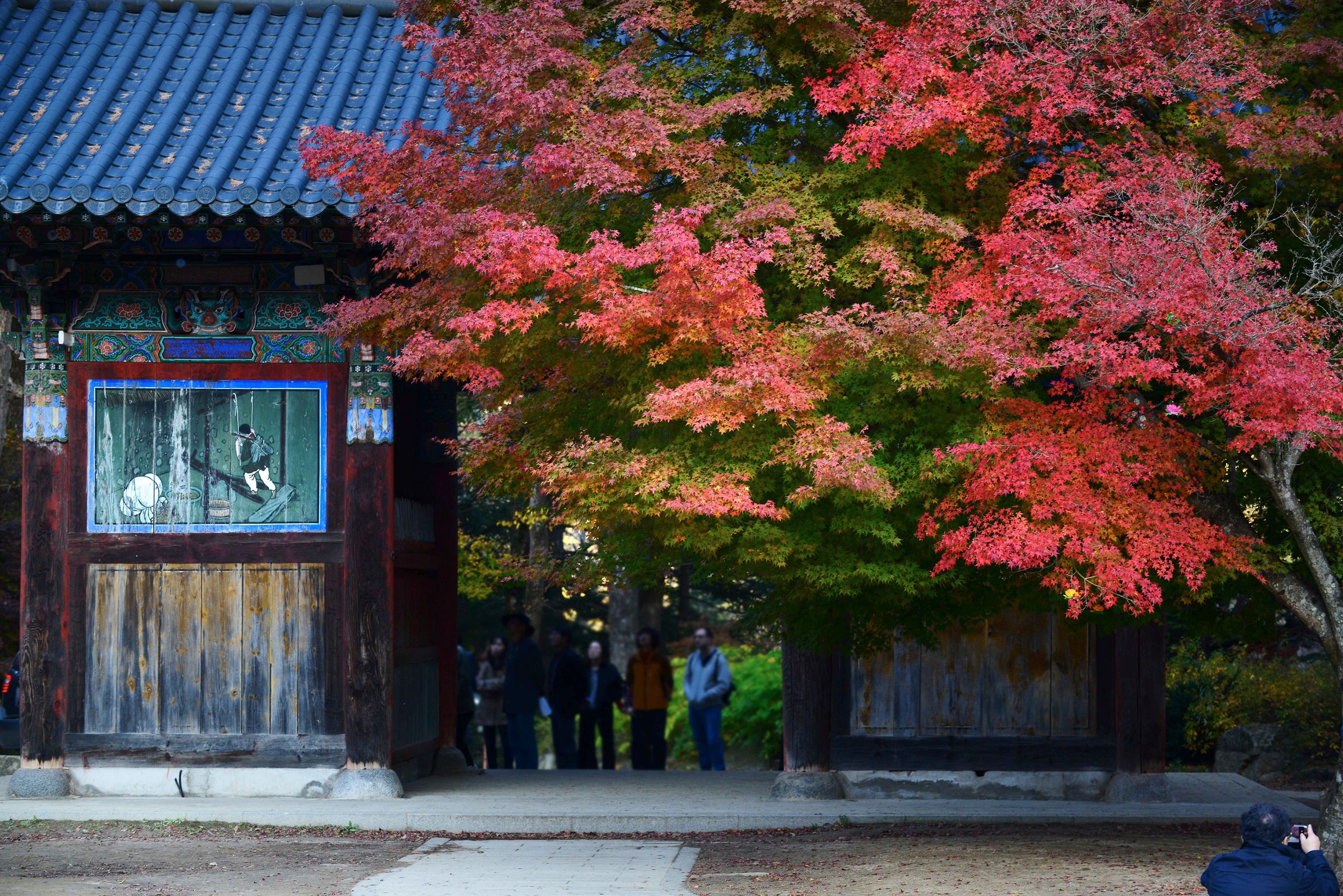 Balwangsan Cable Car from Seoul: Scenic Highland Views&Forest Trails