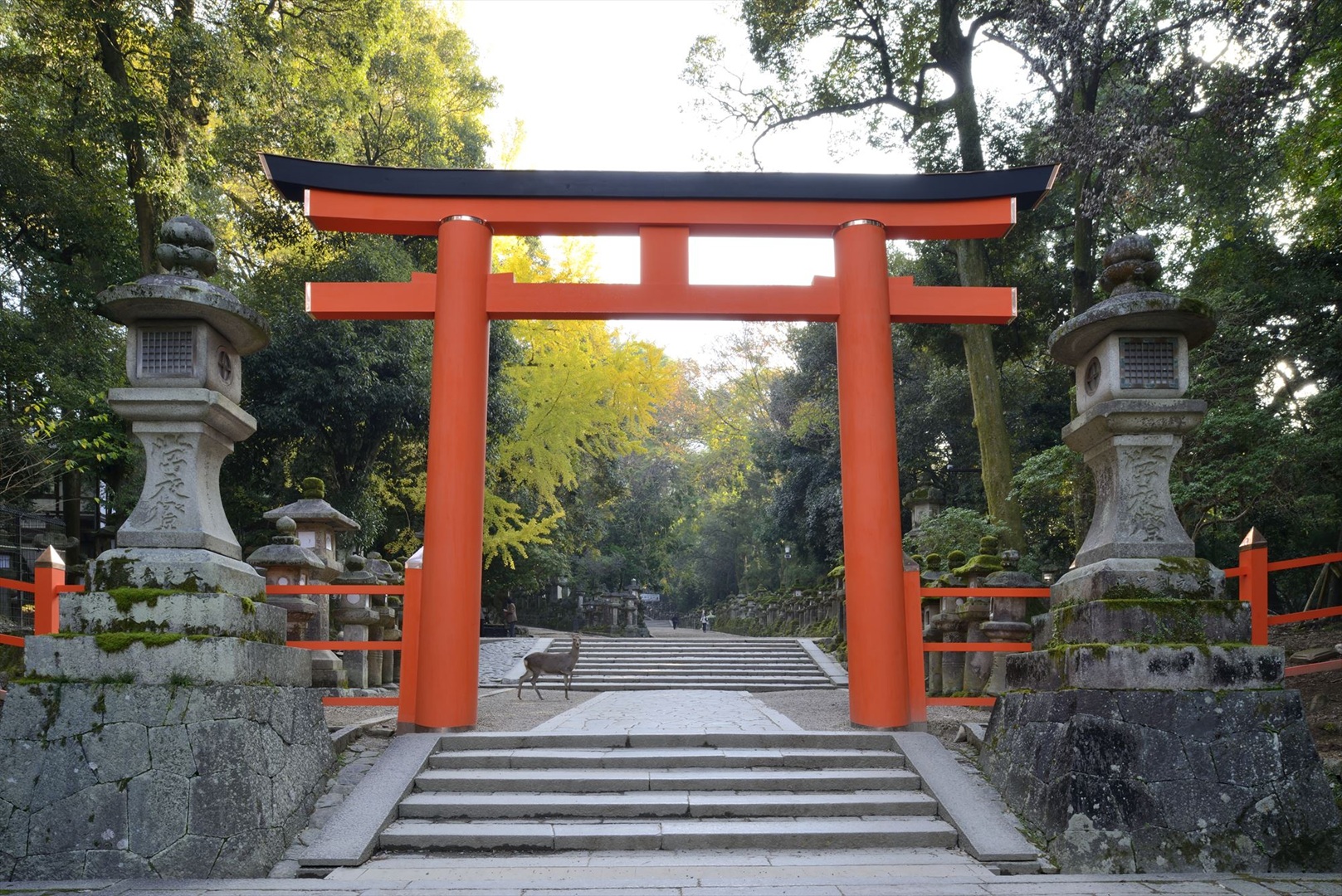 春日大社 [圖片來源：春日大社，攝影：桑原英文]