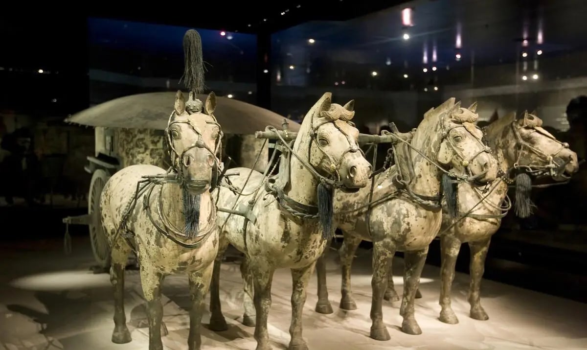 Xi'an Qin Shi Huangdi Mausoleum Museum (Terracotta Warriors) Half Day Tour