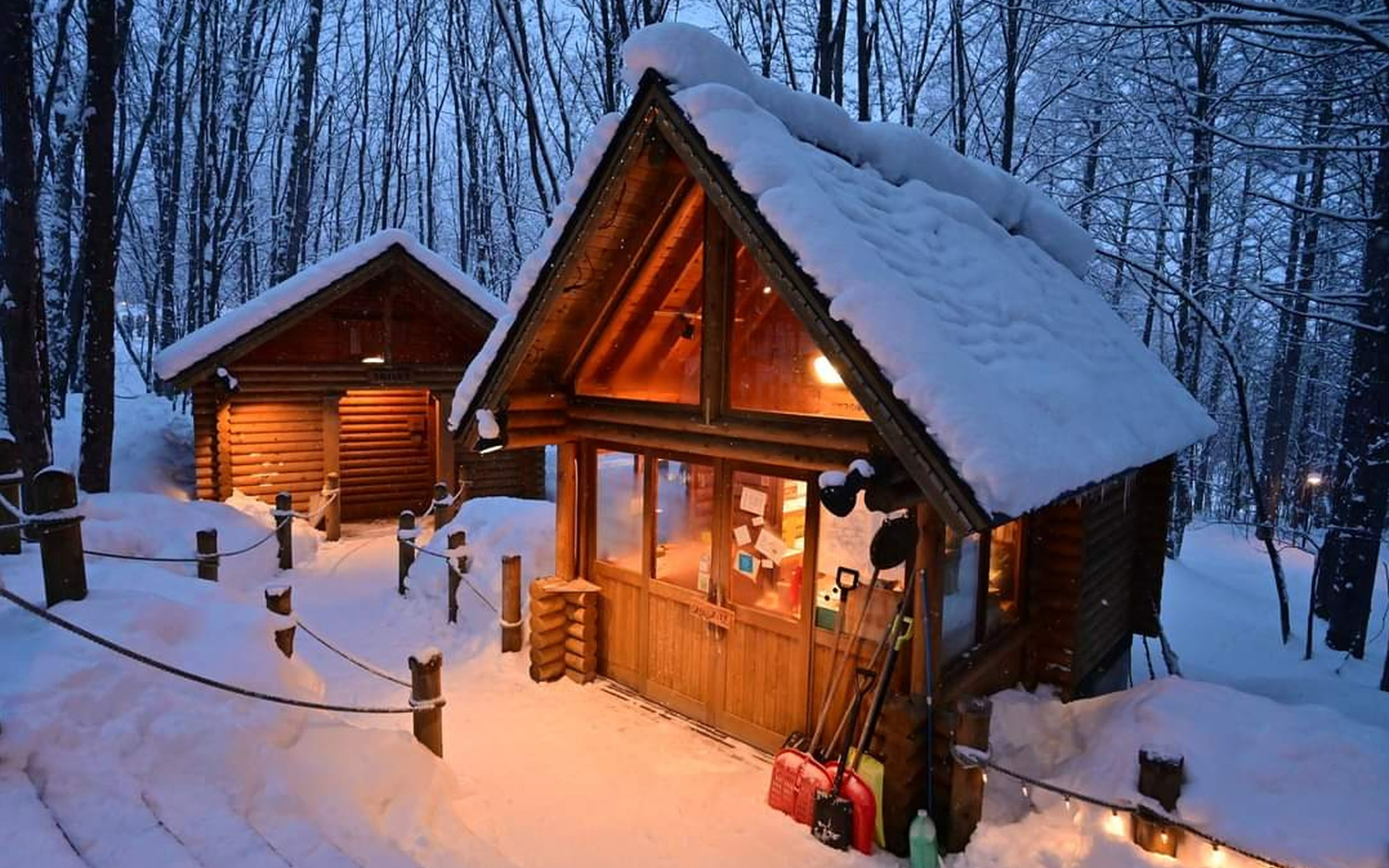 Shirogane Blue Pond & Forest Elf Terrace Night Illumination Experience