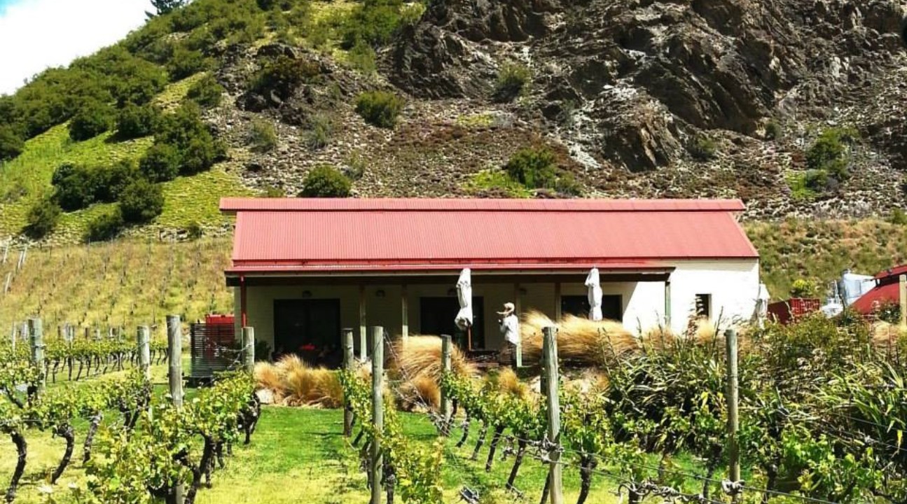 皇后鎮私人品酒之旅 (Private Wine Lovers Tour from Queenstown)