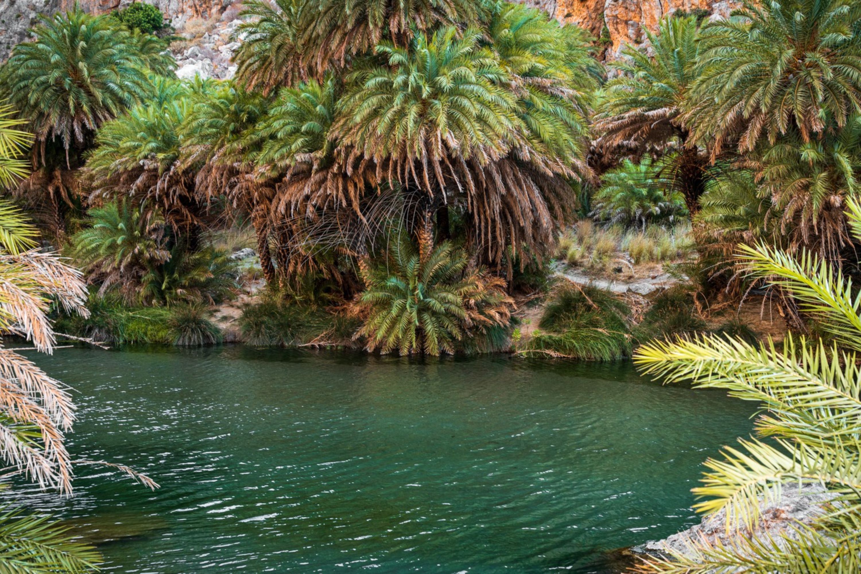 Witness the breathtaking waterfalls cascading through the wild Kourtaliotis Gorge