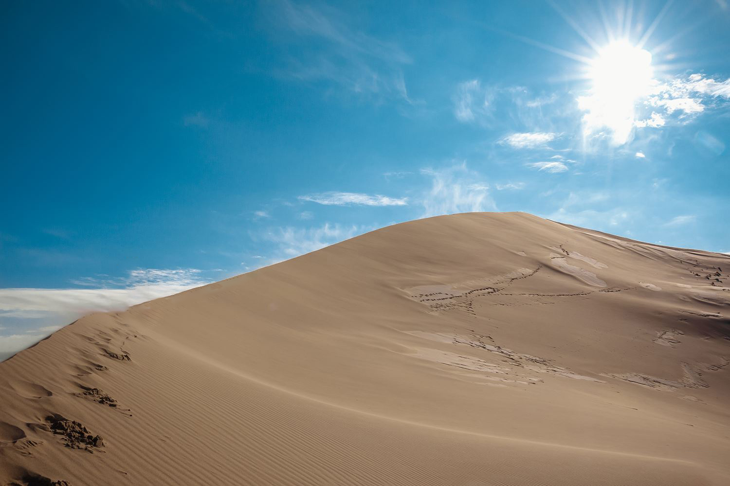 Altyn-Emel National Park: 1-Day Adventure Private Tour