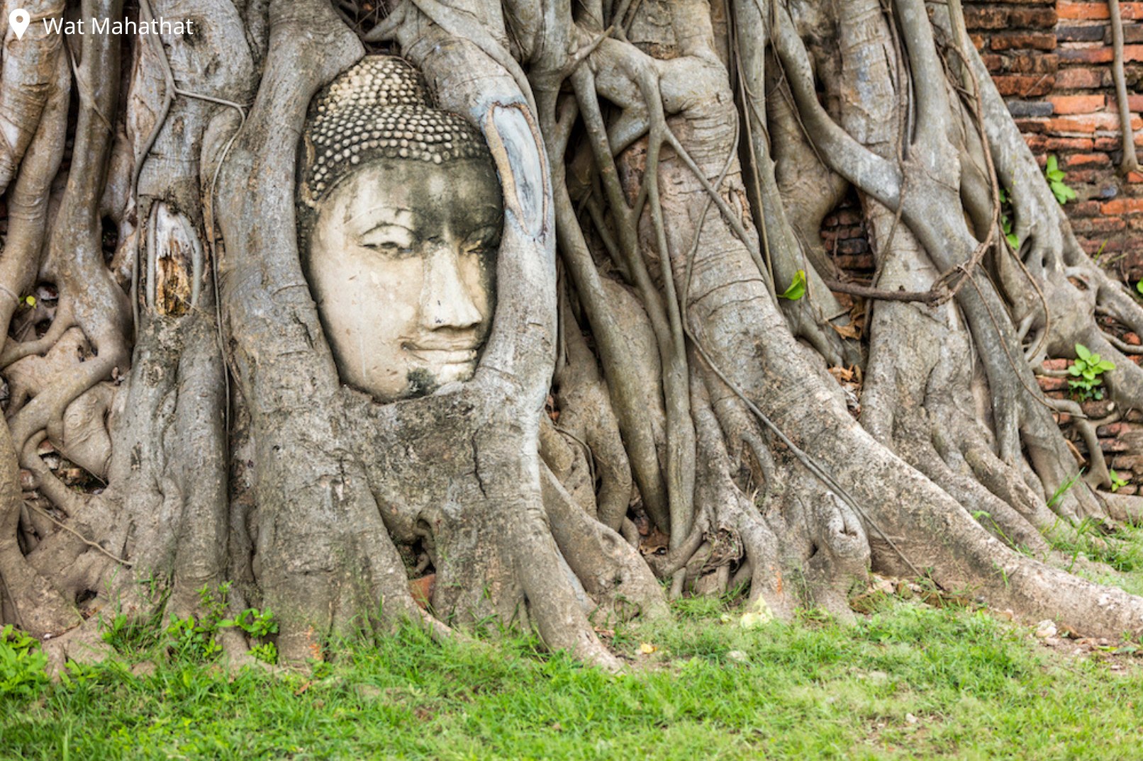 瑪哈泰寺是當時泰國吳哥窟中最早的高棉風格建築，以菩提樹根環繞佛頭而聞名