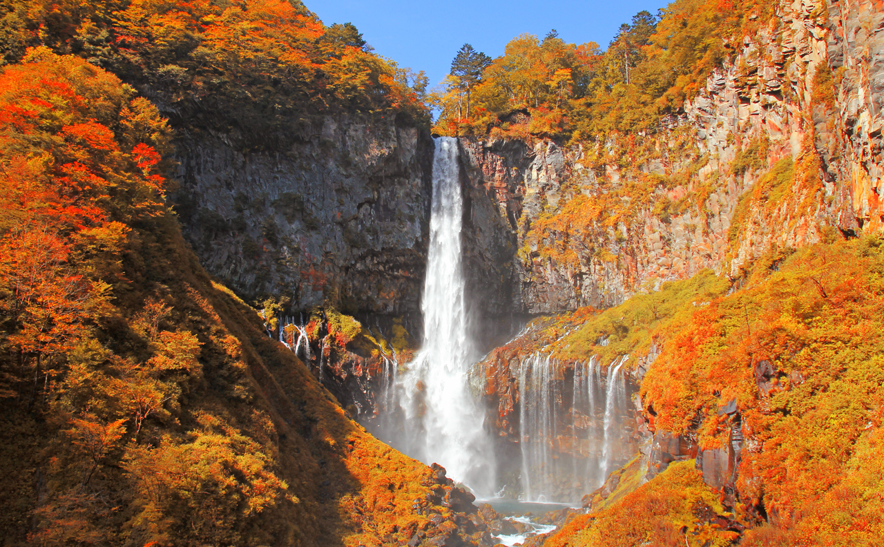 Tochigi and Nikko's secret mountain and water area｜Toshogu Shrine, Iroha Mountain Trail, Lake Chuzenji, and Kegon Falls Day Tour｜Depart from Tokyo/Shinjuku