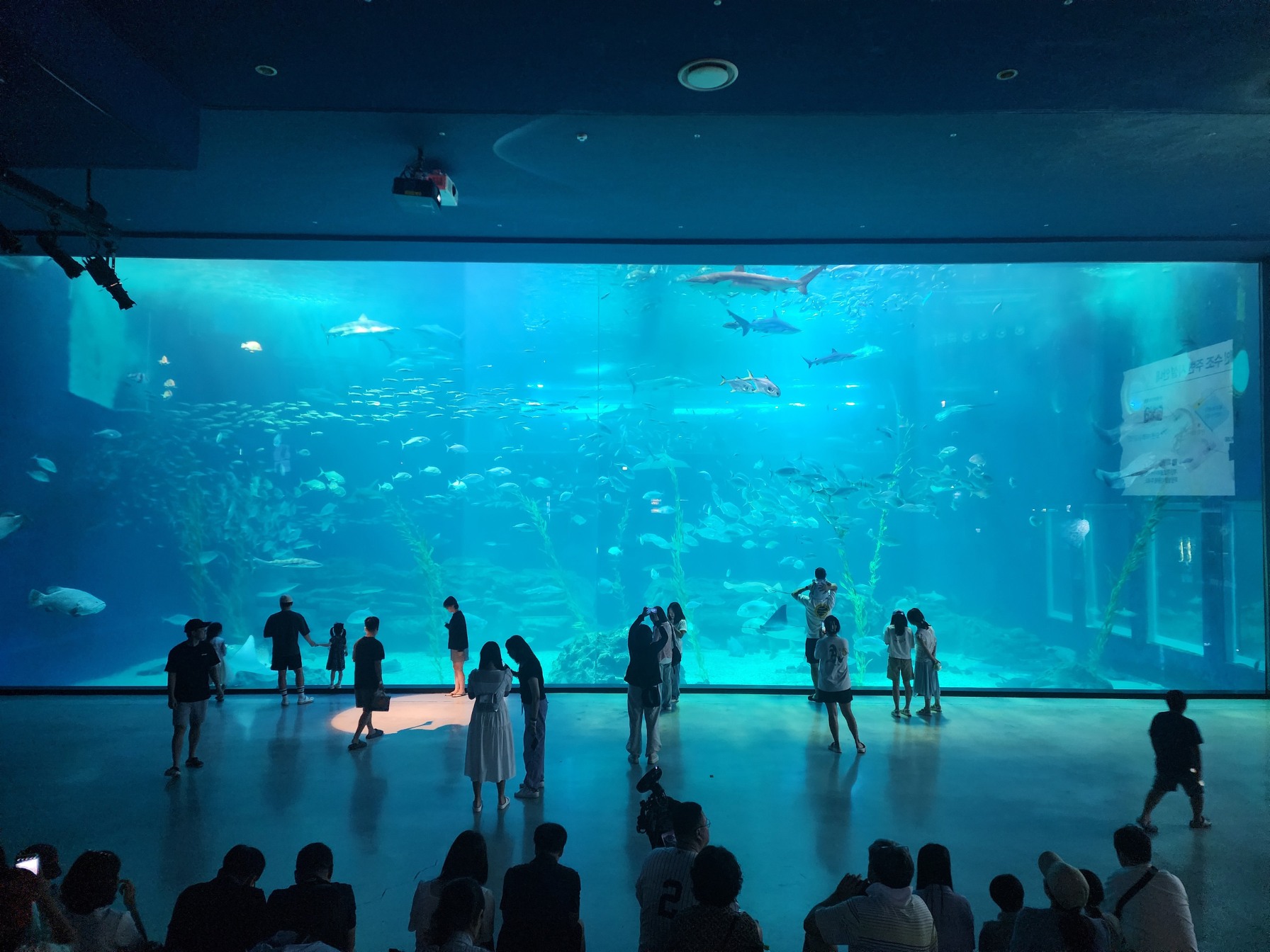 (D.EAST)：Eco Land 森林小火車生態公園 - Snoopy Garden 史努比花園 - 水族館 - 涉地可支 - 鐵道自行車