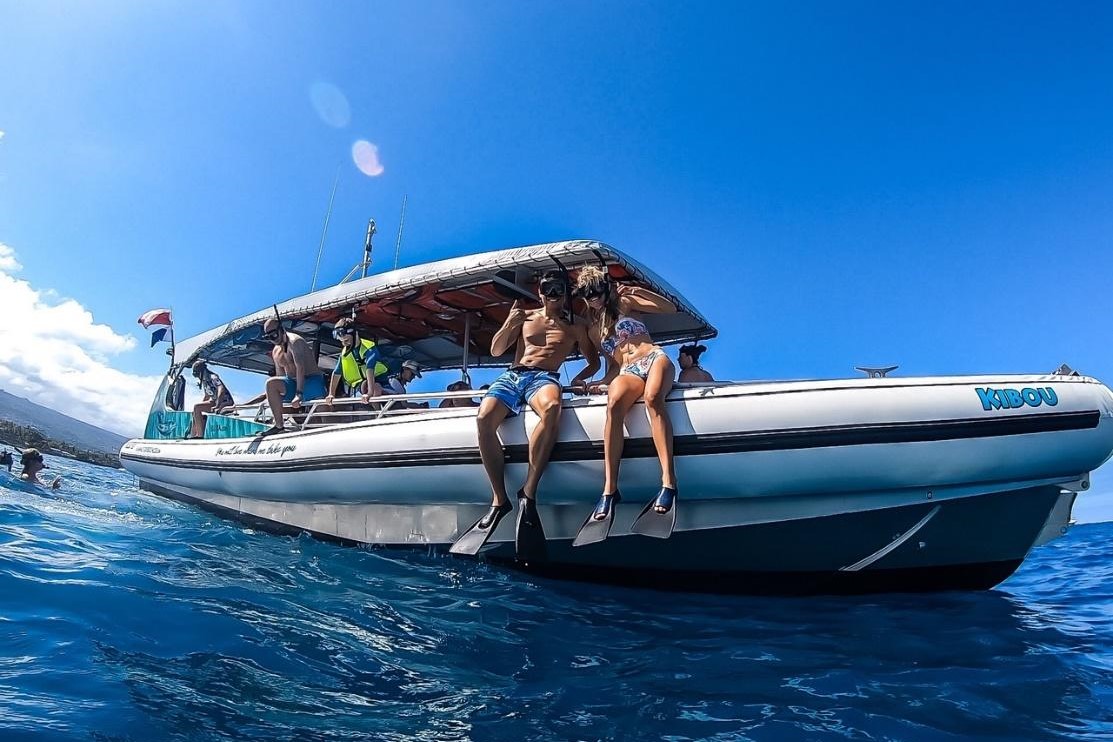 科納浮潛 & 海豚觀賞之旅