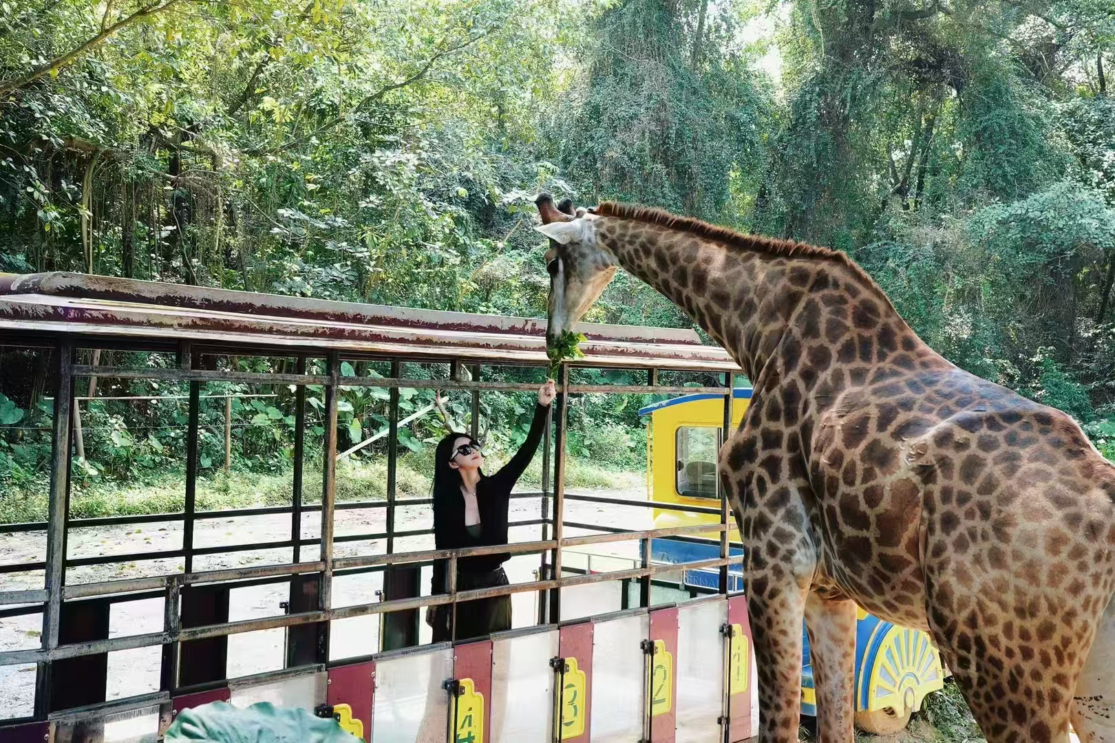 廣州長隆歡樂世界/動物世界旅拍