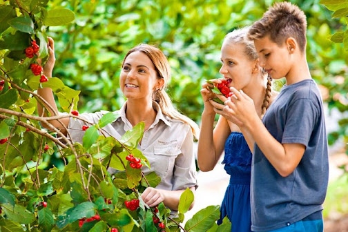 Tropical Fruit World and Point Danger One Day Tour