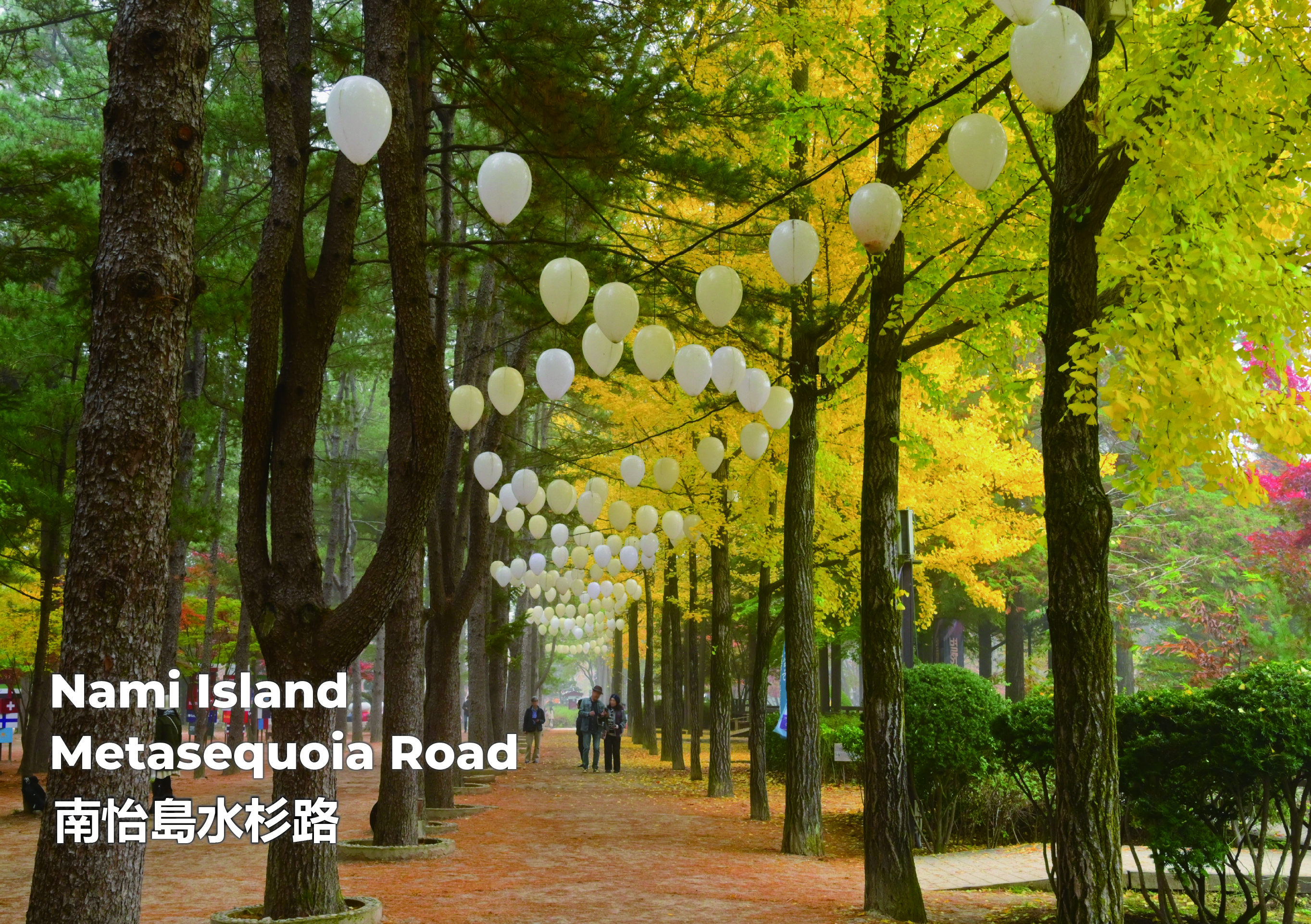 Eobi冰谷 & 南怡島 & 晨靜樹木園 & 鐵路自行車 & 小法國一日遊